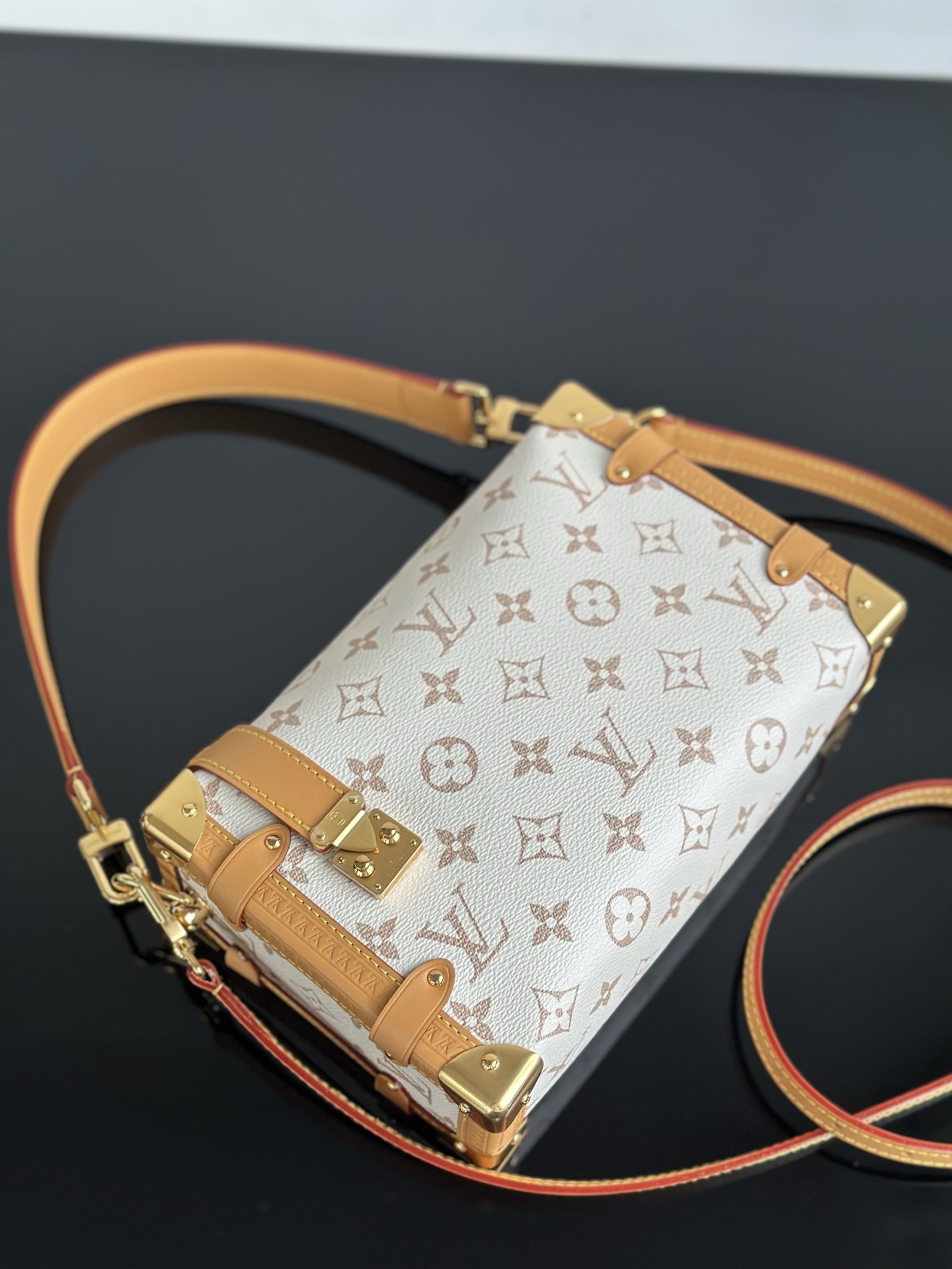 Louis Vuitton Side Trunk MM Dune Monogram Handbag, Luxury Designer Bag 7 i1754291642501 9915 0 6
