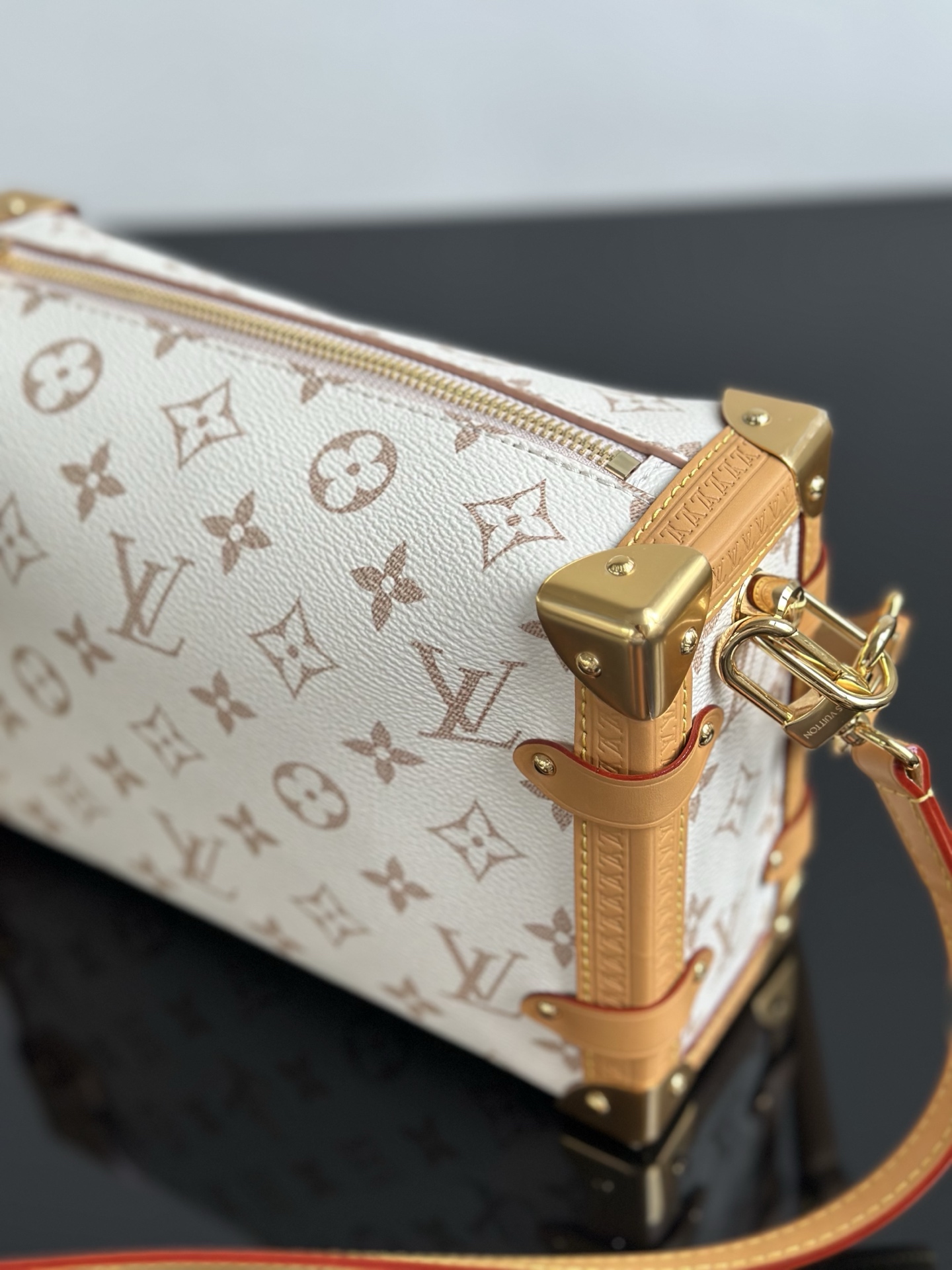 Louis Vuitton Side Trunk MM Dune Monogram Handbag, Luxury Designer Bag 4 i1754291642641 6291 0 3