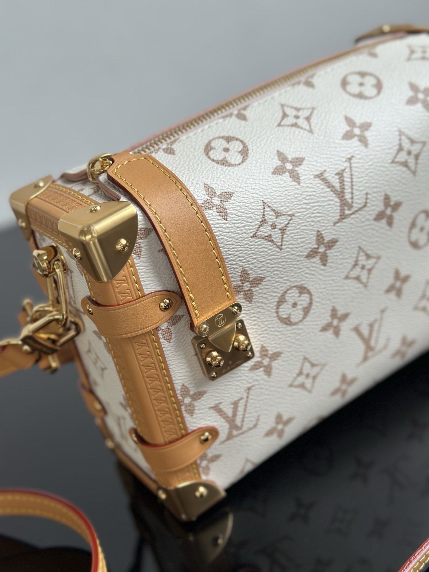 Louis Vuitton Side Trunk MM Dune Monogram Handbag, Luxury Designer Bag 5 i1754291642644 972 0 4
