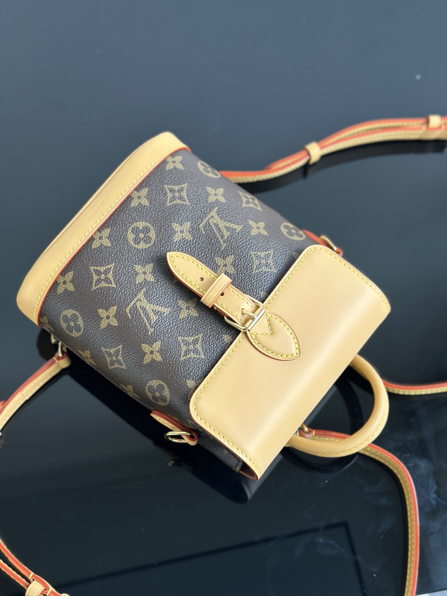 Louis Vuitton Soho Mini Backpack Monogram Canvas Leather Strap, 17 x 23 x 8 cm 7 i1755933750741 4569 0 4