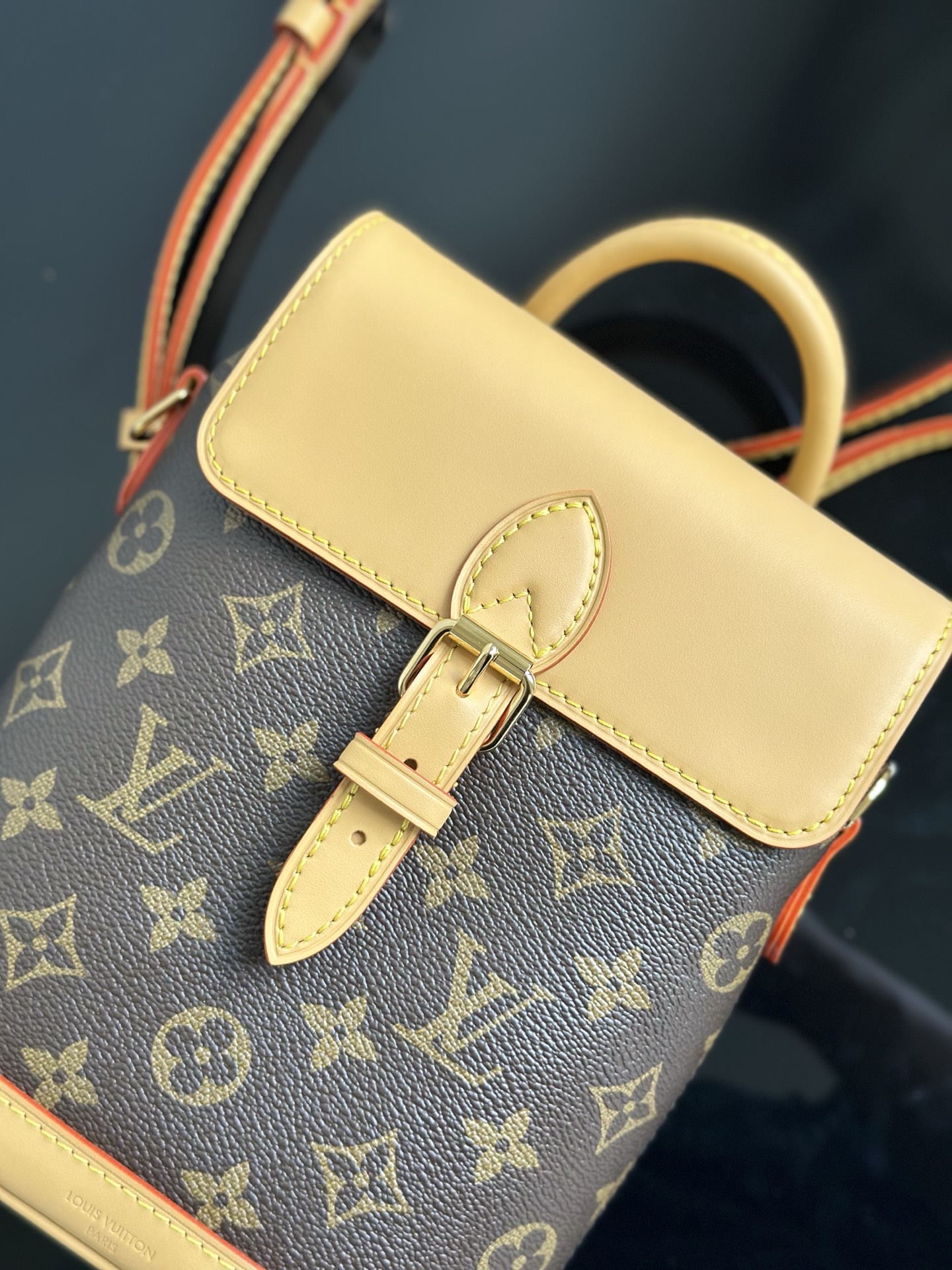 Louis Vuitton Soho Mini Backpack Monogram Canvas Leather Strap, 17 x 23 x 8 cm 6 i1755933750786 1332 0 5