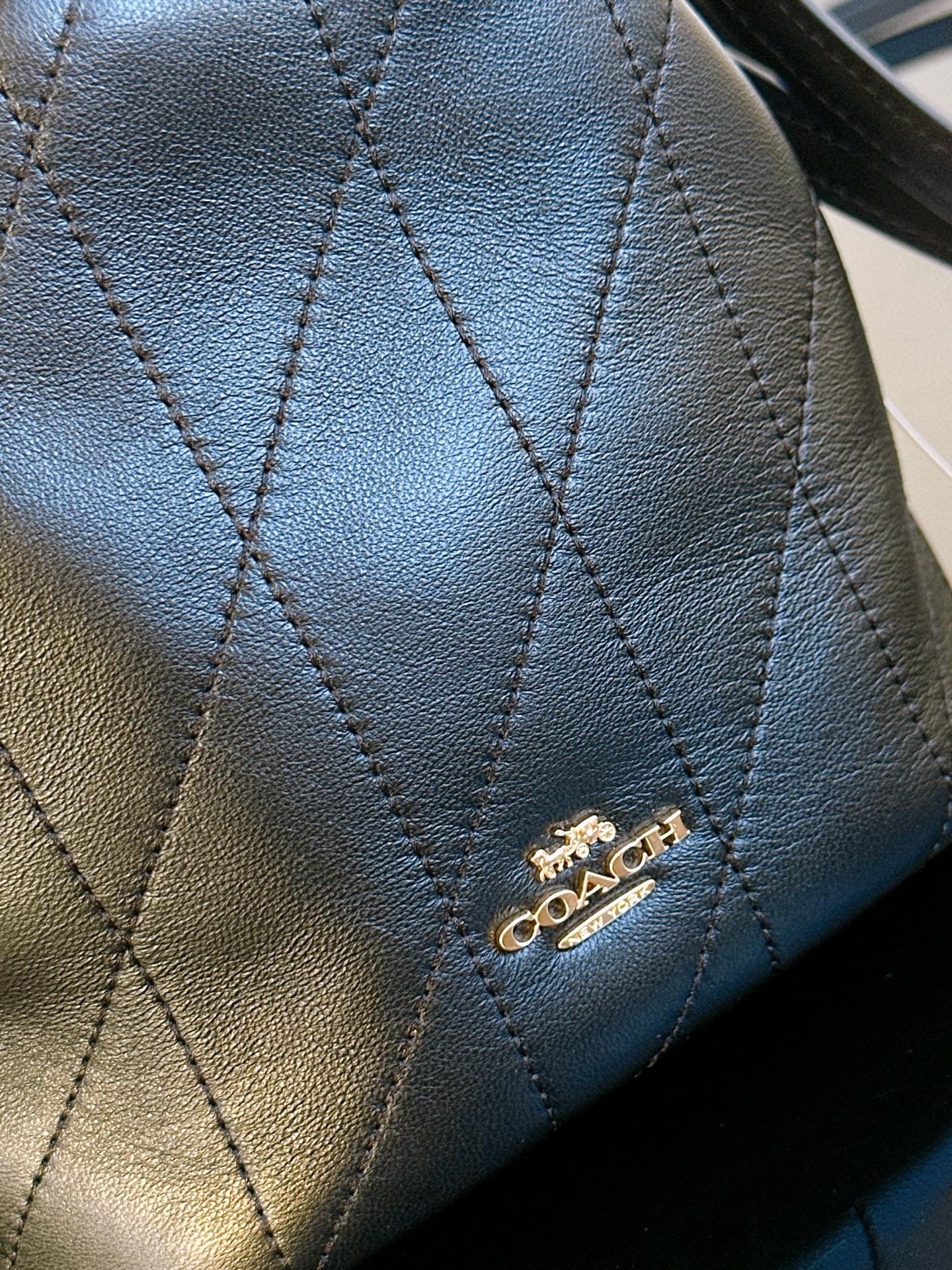 Coach 原Coach蔻驰 CDC42/CDB69 Faye系列 垃圾袋小号云朵包