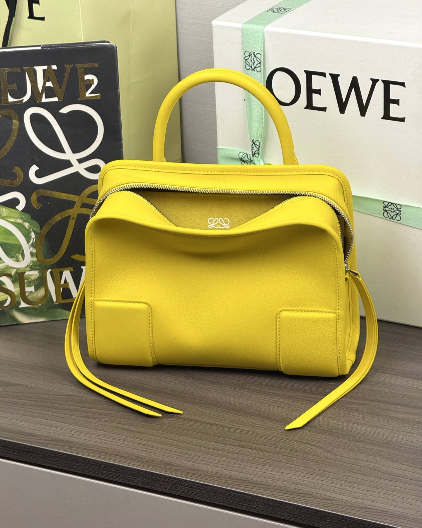 LOEWE Small Amazona 180 Bag - Top Quality