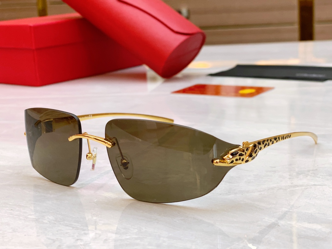 Cartier Impecable
 Gafas de sol