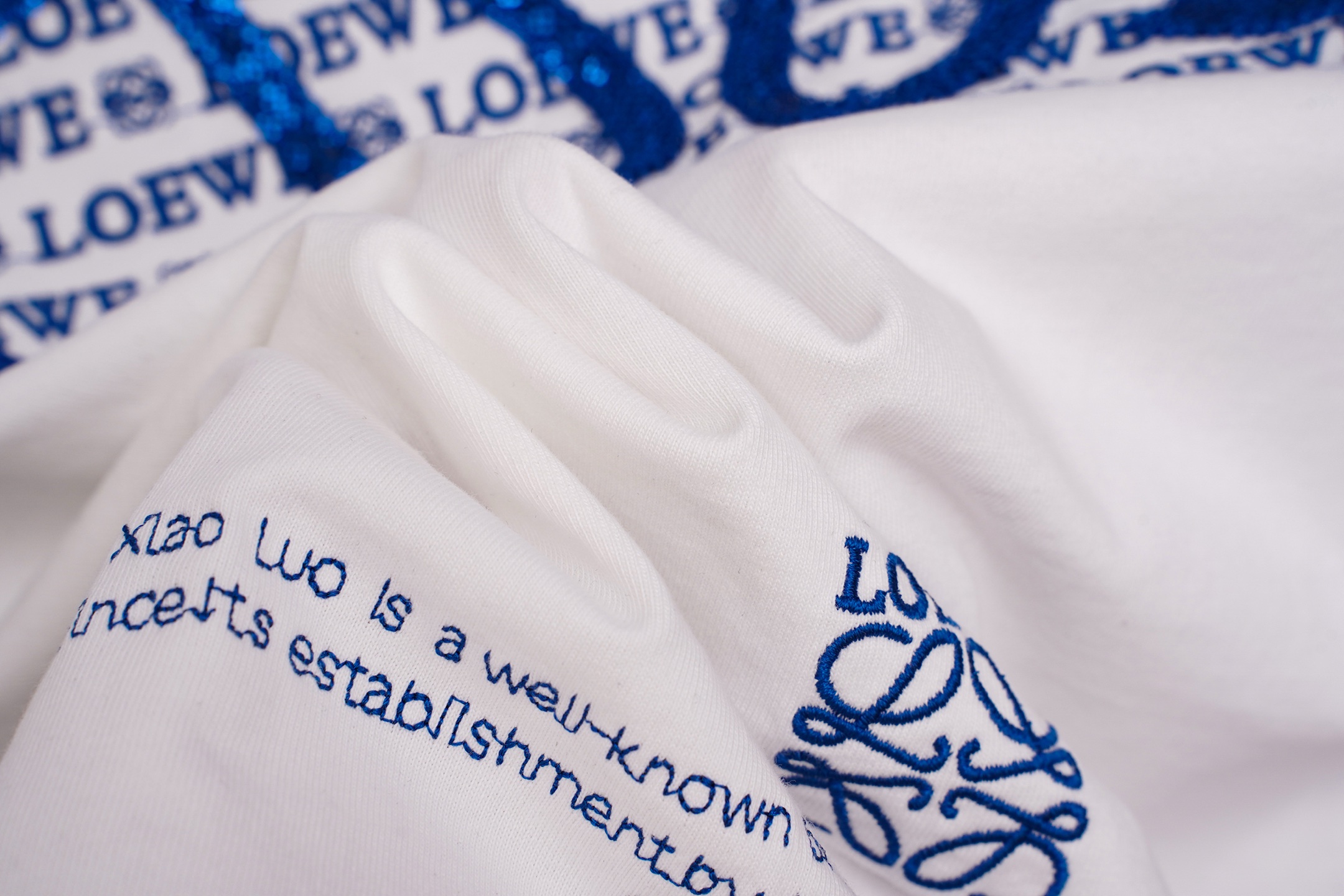 罗意威 Loewe 高级成衣风衣外套及大衣服饰 #BDBA362A 7