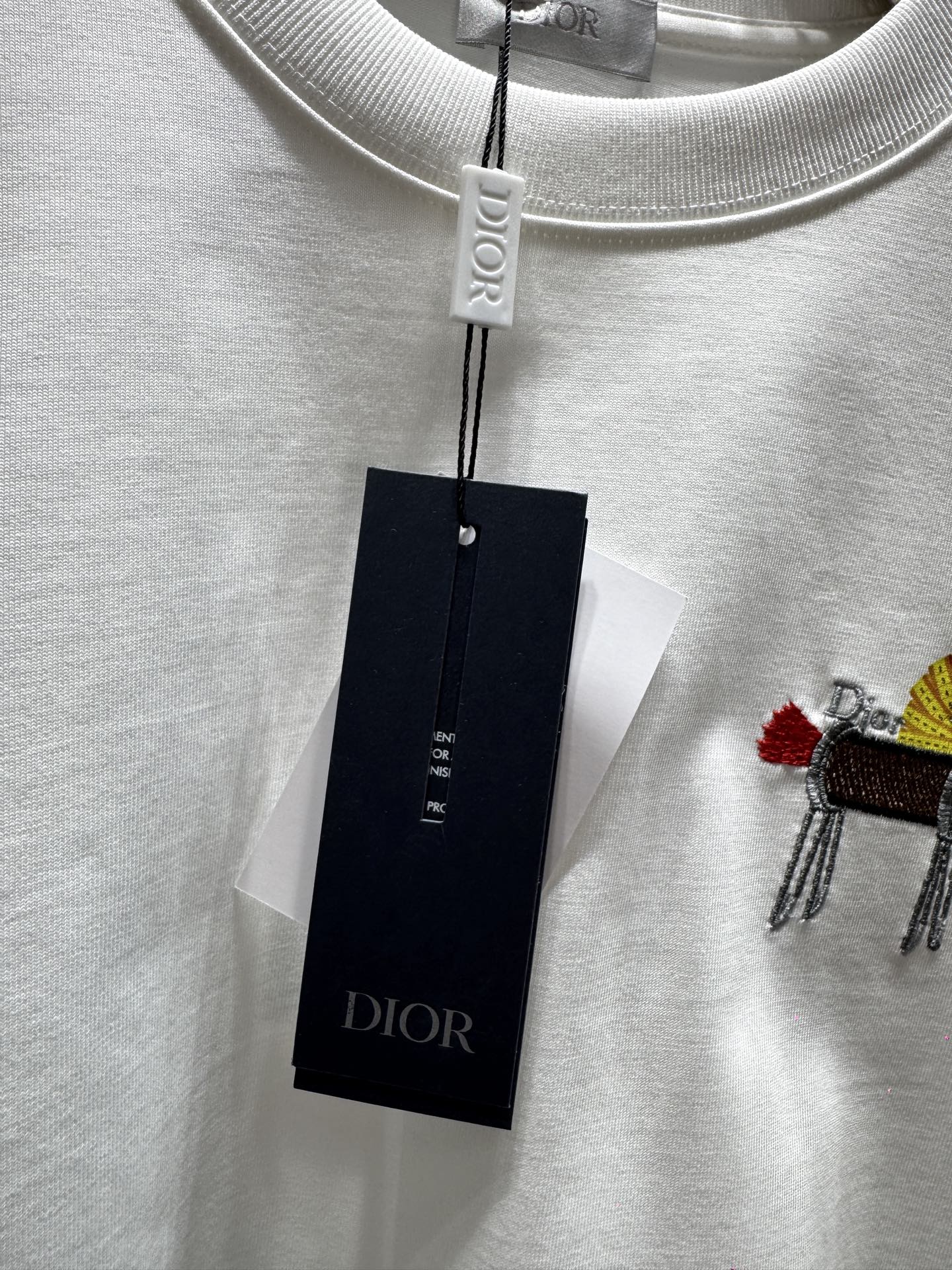 Homens Dior* — photo 7