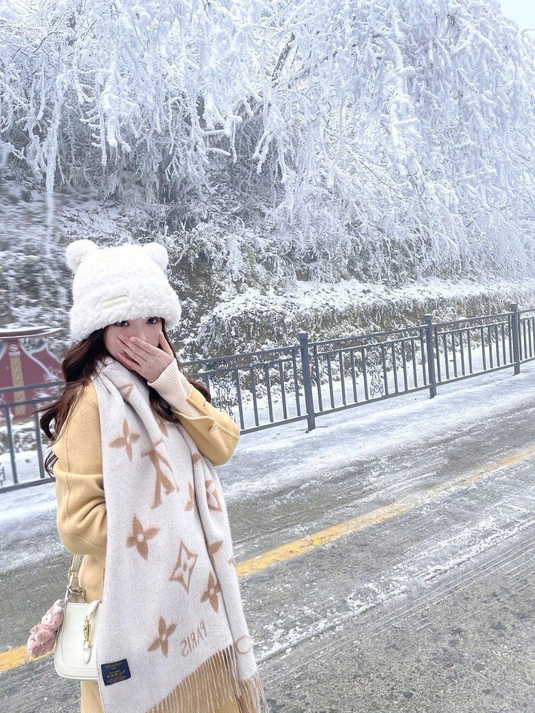 NO:570737,Travel look during the snow season, alexander wang19860909雪季出行look,,alexander wang,Women's clothing