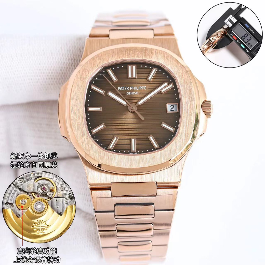 Patek Philippe Swiss Master Horology Mechanical Watch Timepiece