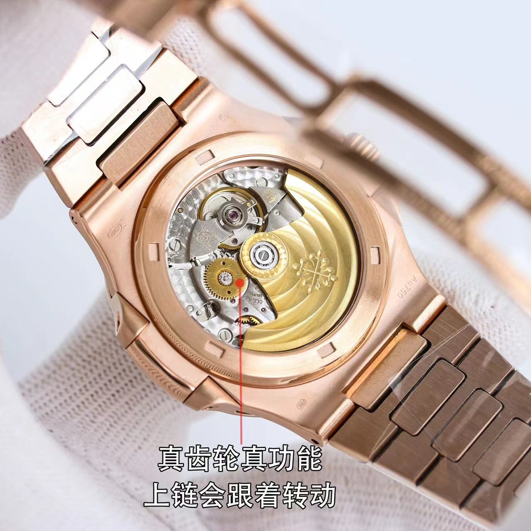 Patek Philippe Swiss Master Horology Mechanical Watch Timepiece 6