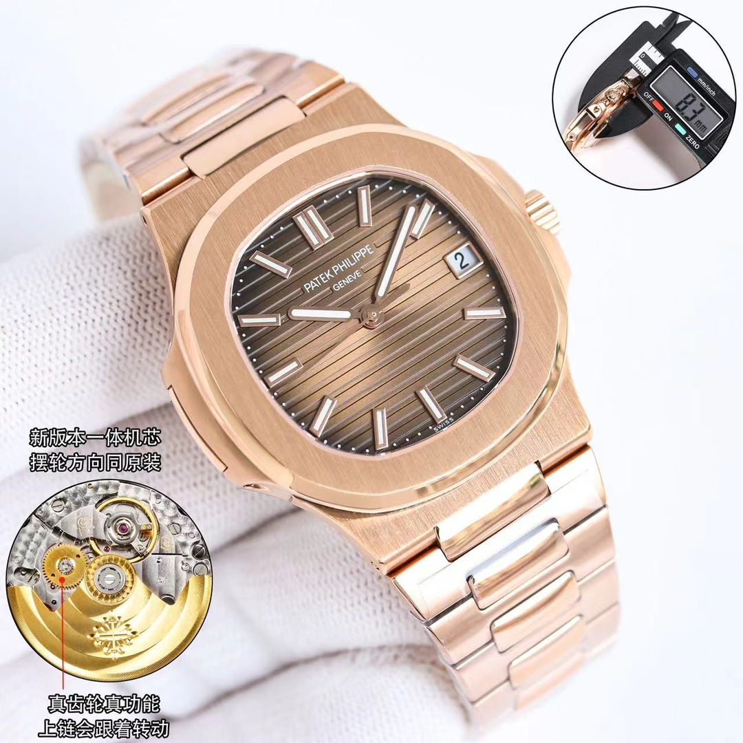 Patek Philippe Swiss Master Horology Mechanical Watch Timepiece 2