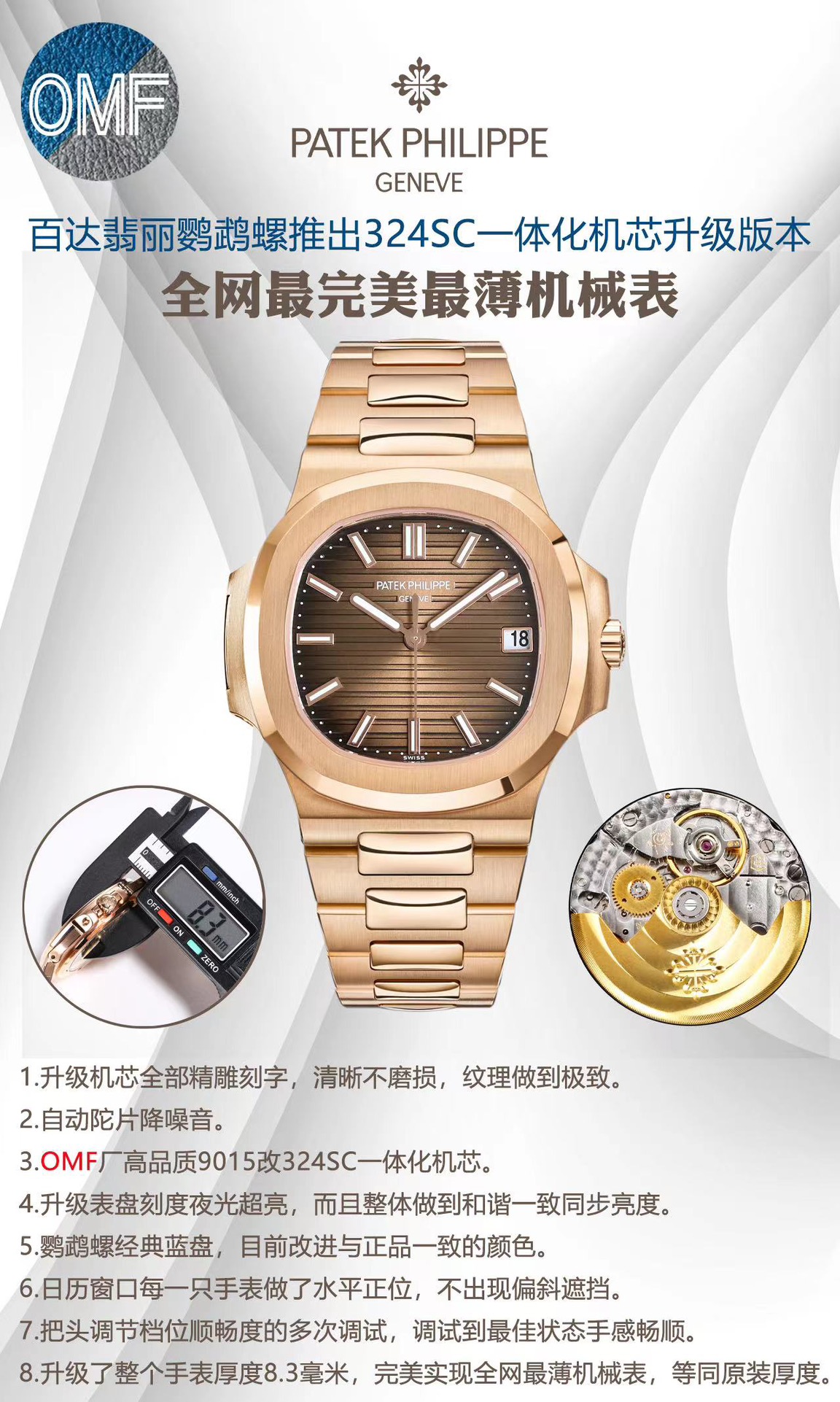 Patek Philippe Swiss Master Horology Mechanical Watch Timepiece 9