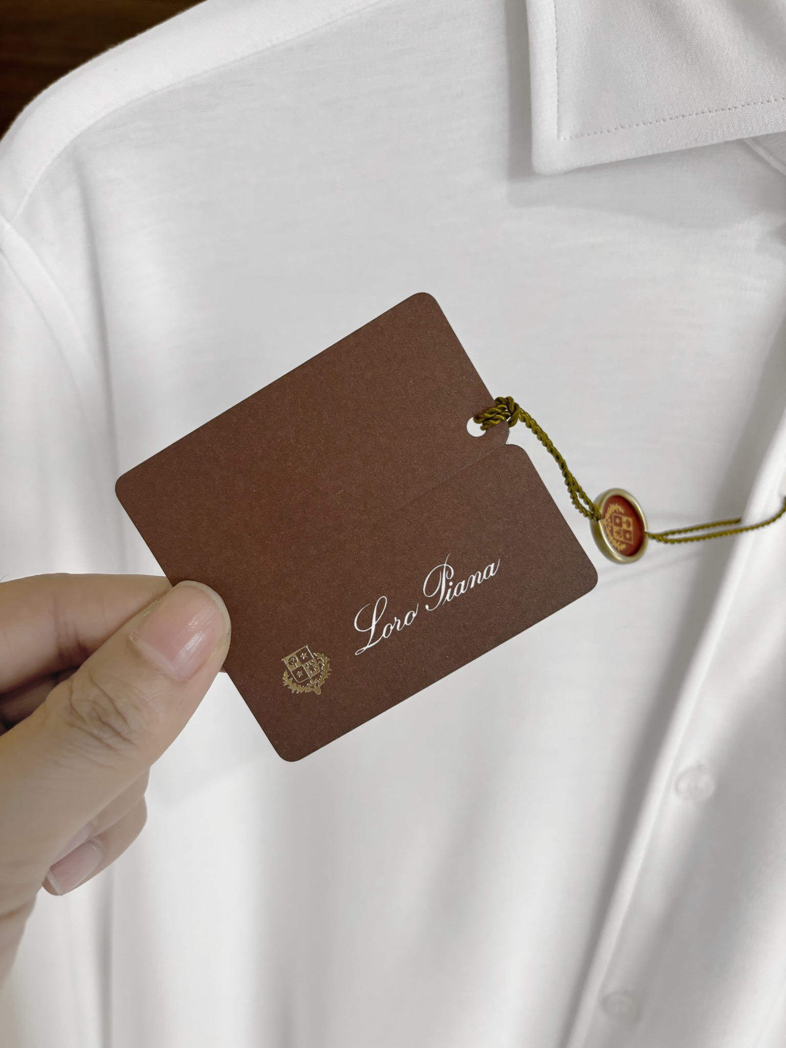 New#🟥lP🆕渠道尖端~加厚弹力棉磨毛长袖衬衫，老钱风格的极简纯色款，时尚百搭长袖衬衫，专为春秋冬而设