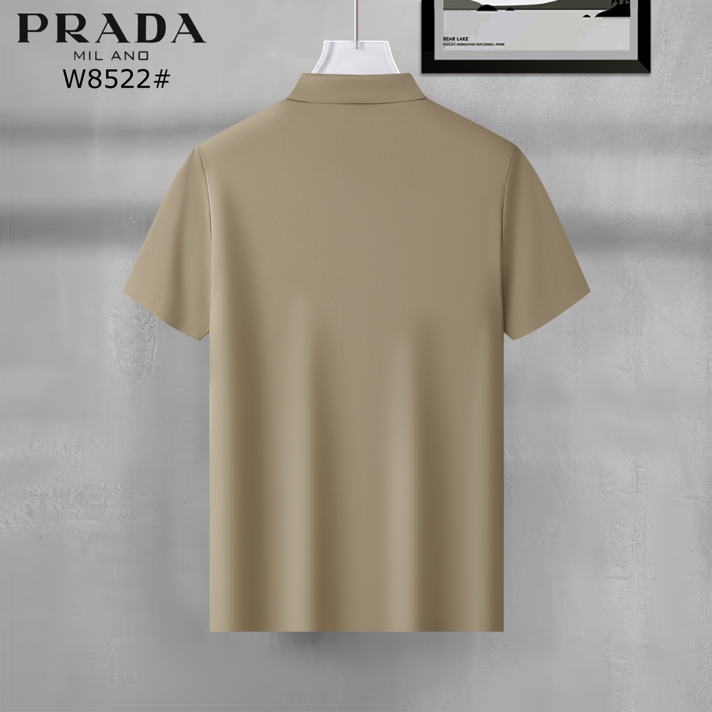 i1747669758616 8473 0 5