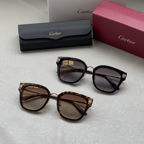 Cartier CT0509SA Rectangular Sunglasses with Zeiss Lenses, Leopard Detail 1 Cartier CT0509SA Rectangular Sunglasses with Zeiss Lenses, Leopard Detail