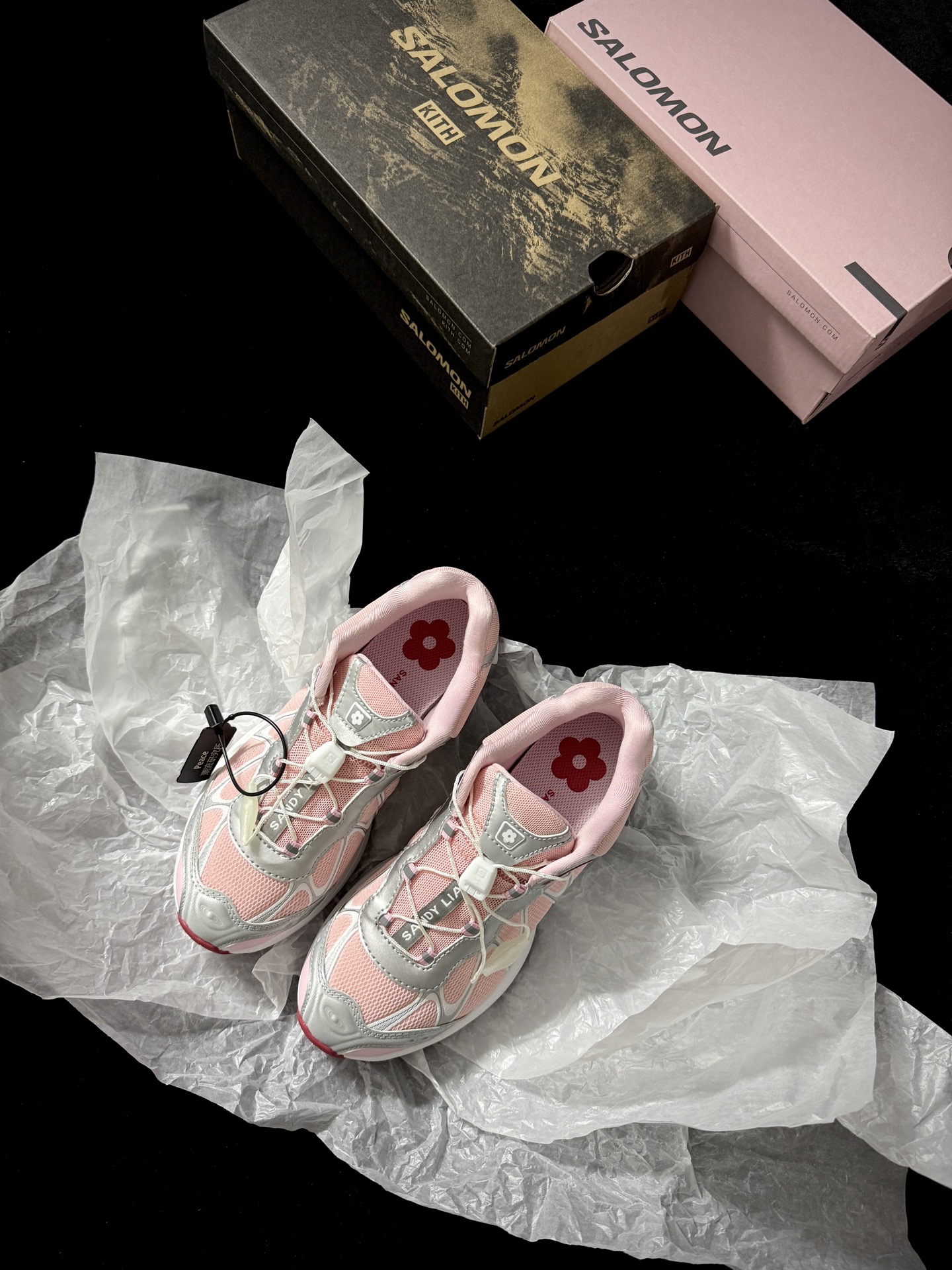 살로몬 신발 74863 Salomon Shoes