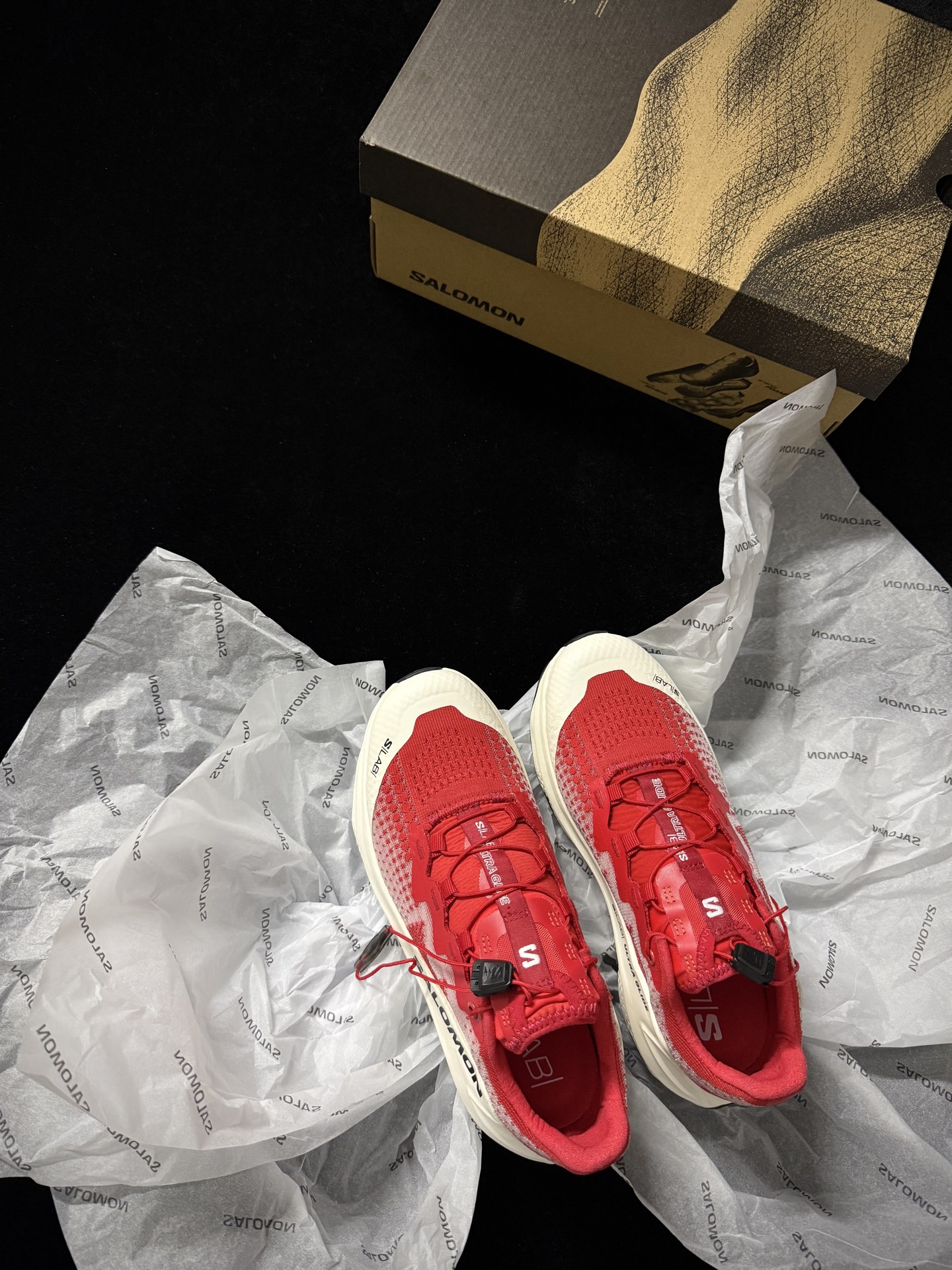 살로몬 신발 74859 Salomon Shoes