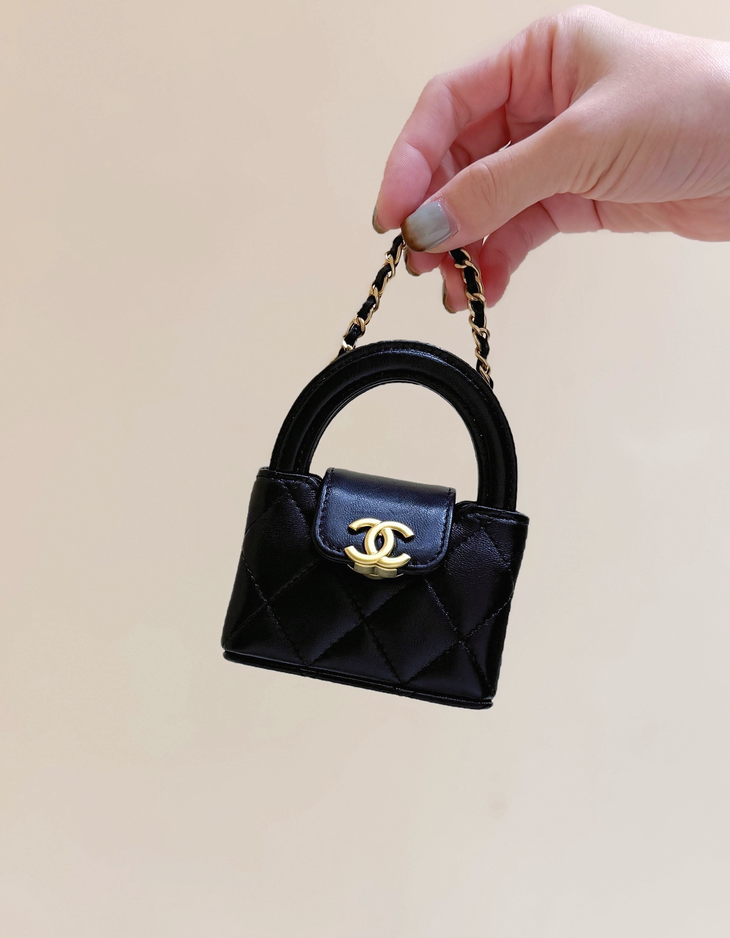 샤넬 가방 AS4991 Chanel Bag