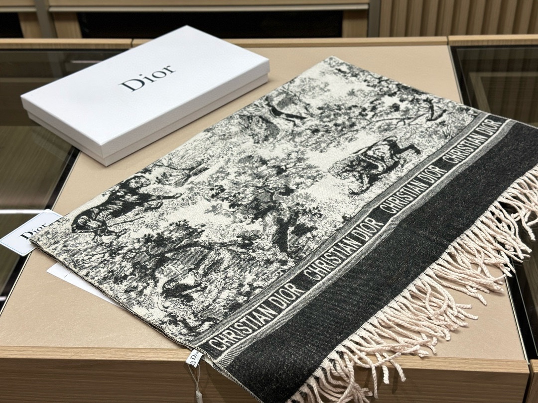 Dior Scarf - Comprehensive 5