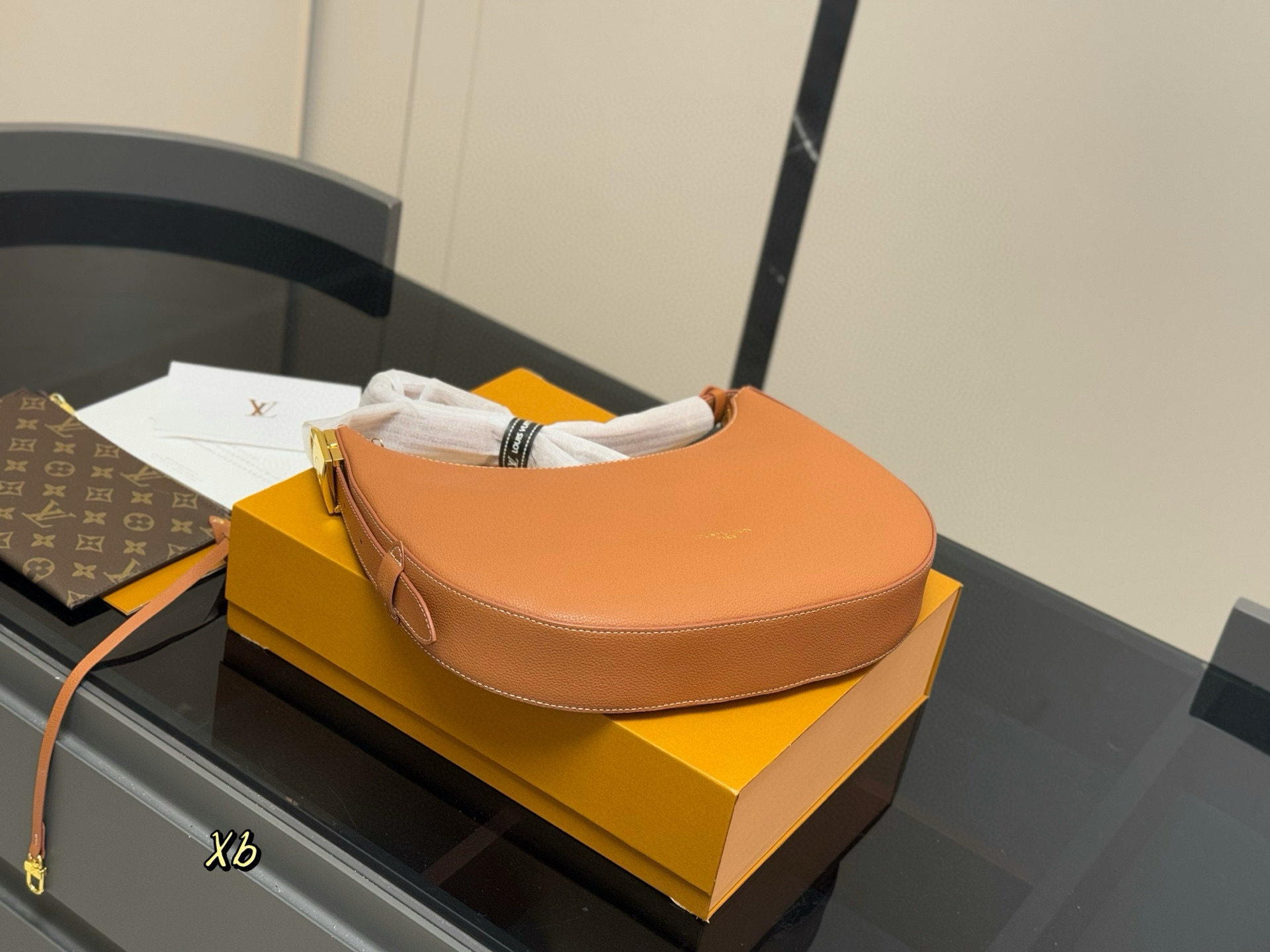 Louis Vuitton Lowkey Cookie Hobo Bag, Shoulder Bag, Crossbody Bag, Top Handle