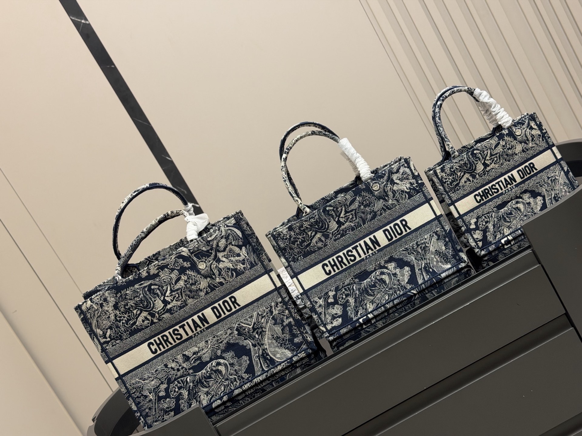 Dior Tote Bag 12632
