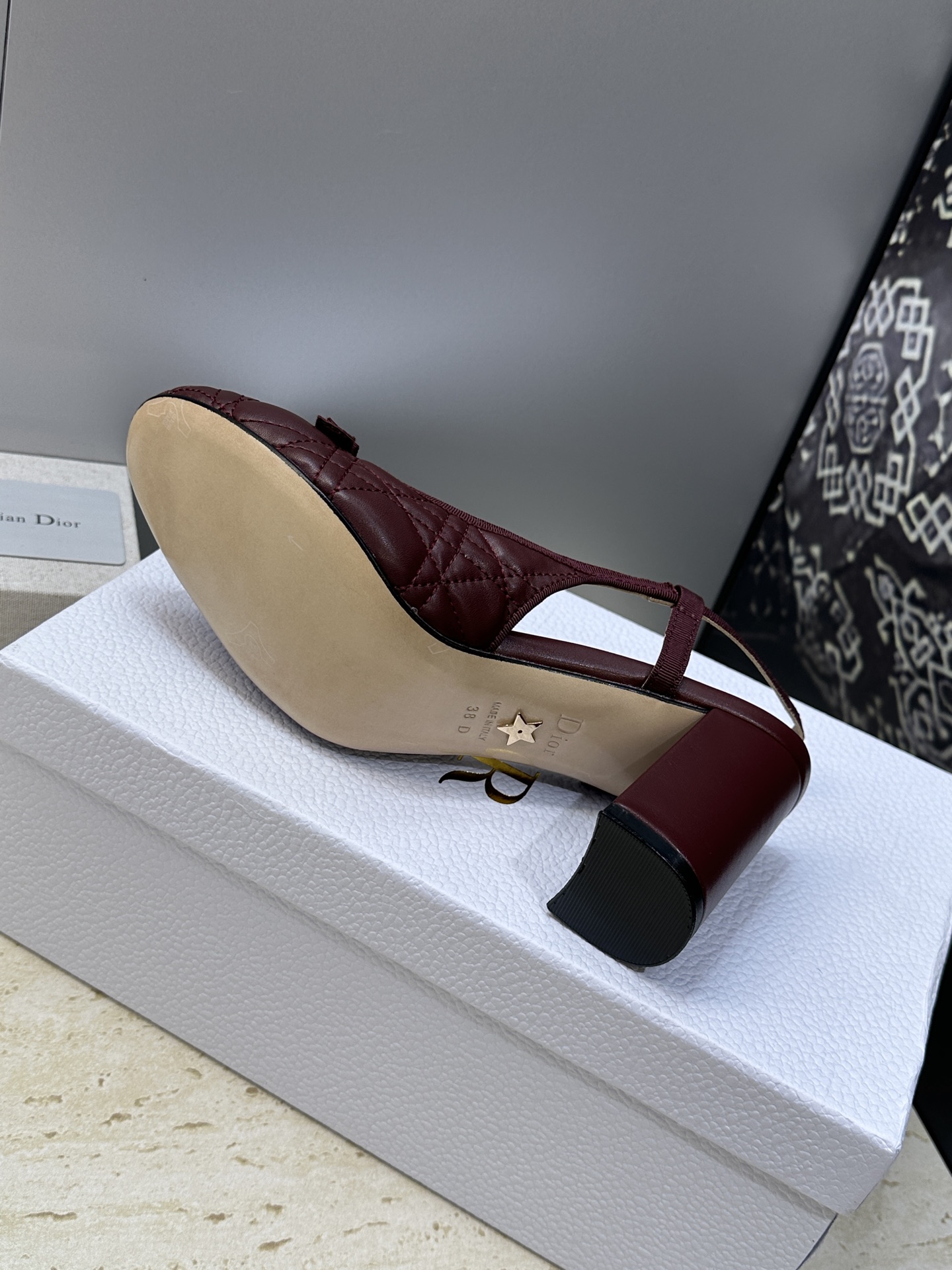 迪奥 Dior 2026春夏高定系列新款 Ballet 标志性电绣藤格纹粗跟玛丽珍芭蕾舞女鞋 CD字母l