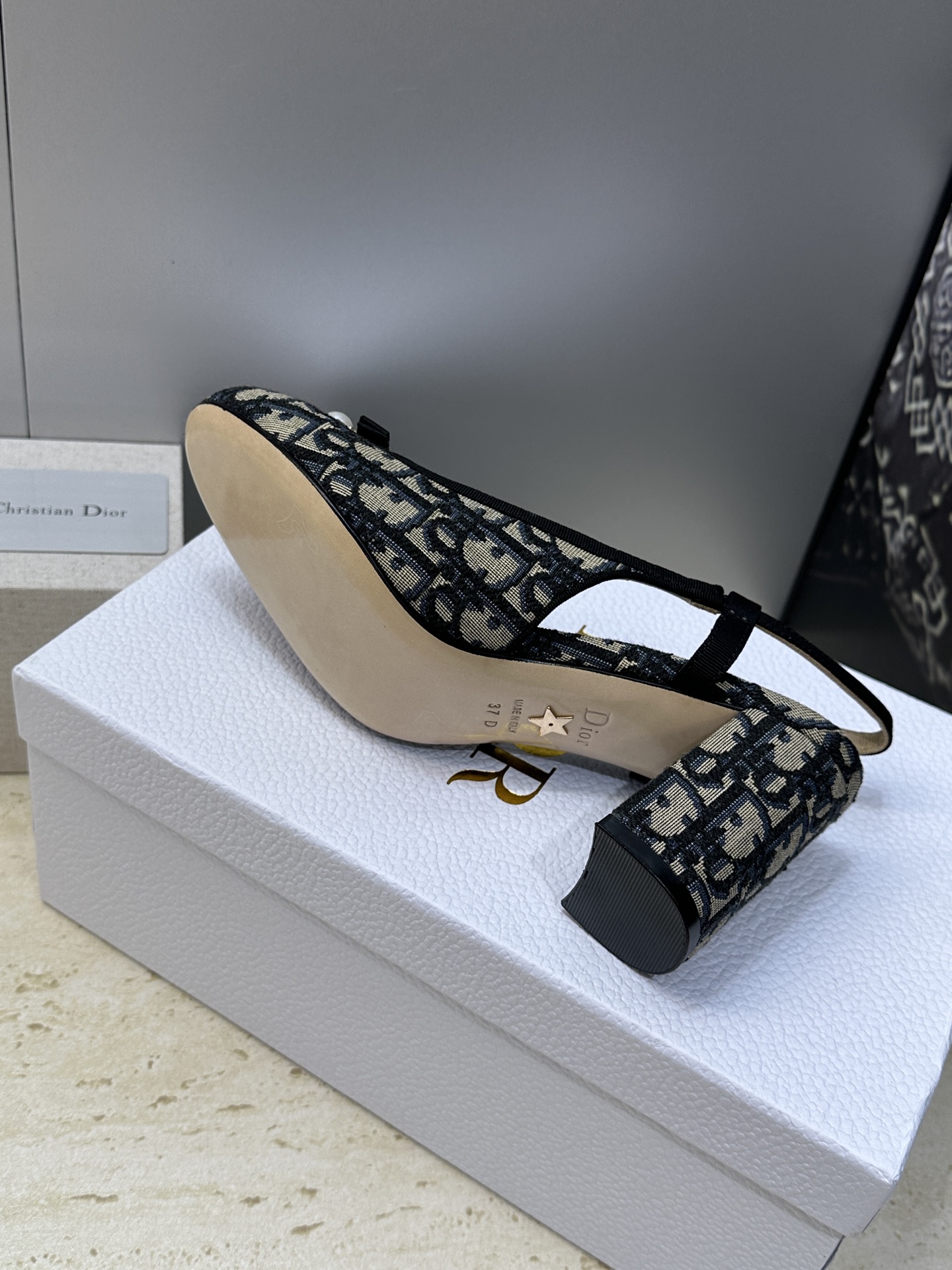 迪奥 Dior 2026春夏高定系列新款 Ballet 标志性电绣藤格纹粗跟玛丽珍芭蕾舞女鞋 CD字母l