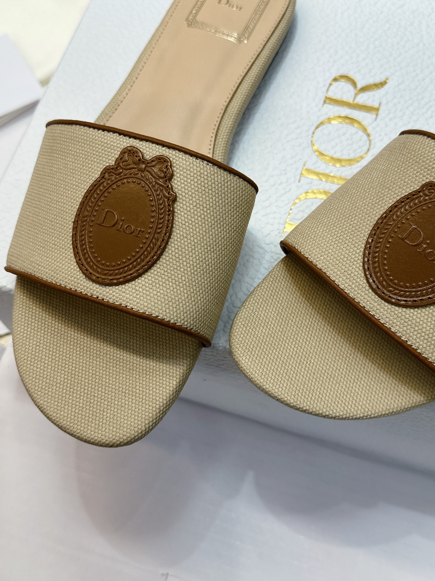 (配全套飞机盒) 迪奥 Dior 2026早春新款Medaillon一字拖女鞋 CD字母logo立体刺绣粗跟圆头露趾凉拖