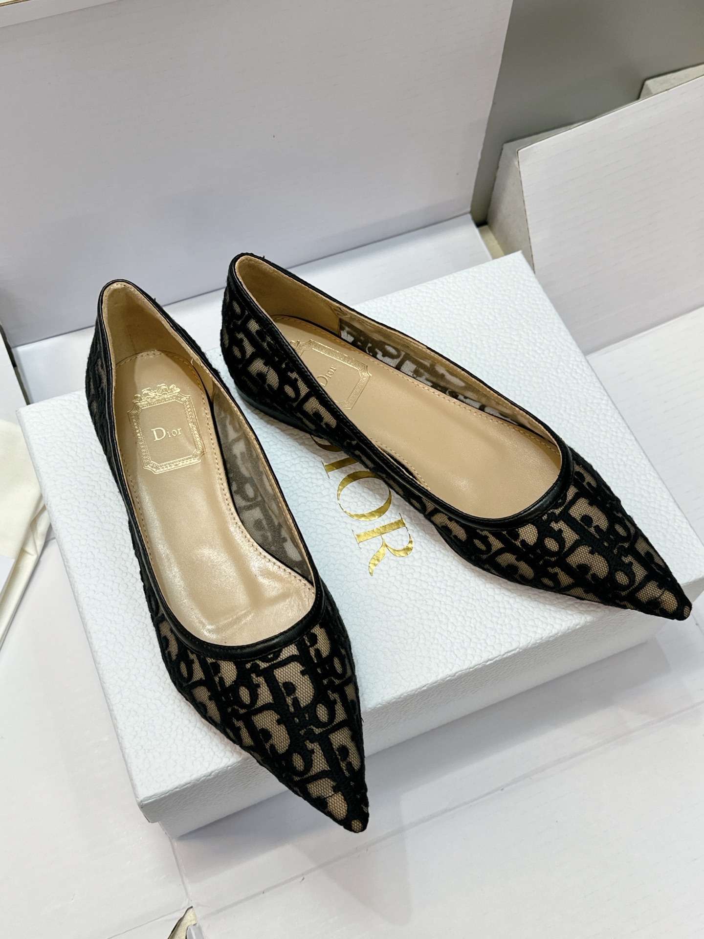 (配全套飞机盒) Dior 迪奥 2026春夏走秀新款Adiorble高跟尖头女鞋 CD明星同款时尚电绣字母logo平底 (配全套飞机盒) Dior 迪奥 2026春夏走秀新款Adiorble高跟尖头女鞋 CD明星同款时尚电绣字母logo平底