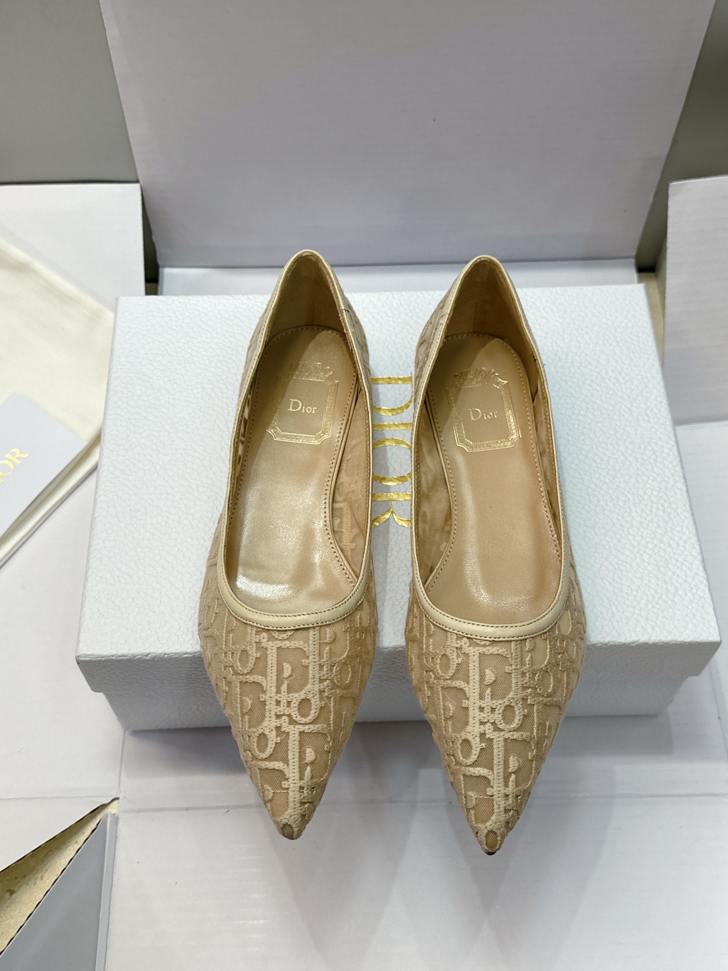 (配全套飞机盒) Dior 迪奥 2026春夏走秀新款Adiorble高跟尖头女鞋 CD明星同款时尚电绣字母logo平底 (配全套飞机盒) Dior 迪奥 2026春夏走秀新款Adiorble高跟尖头女鞋 CD明星同款时尚电绣字母logo平底