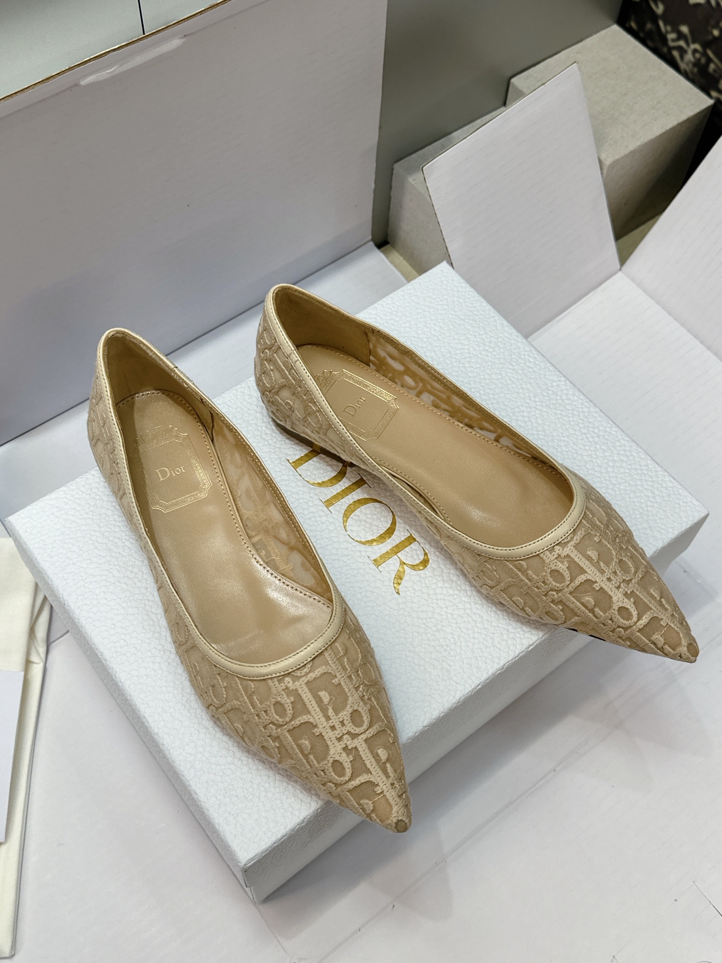 (配全套飞机盒) Dior 迪奥 2026春夏走秀新款Adiorble高跟尖头女鞋 CD明星同款时尚电绣字母logo平底 (配全套飞机盒) Dior 迪奥 2026春夏走秀新款Adiorble高跟尖头女鞋 CD明星同款时尚电绣字母logo平底