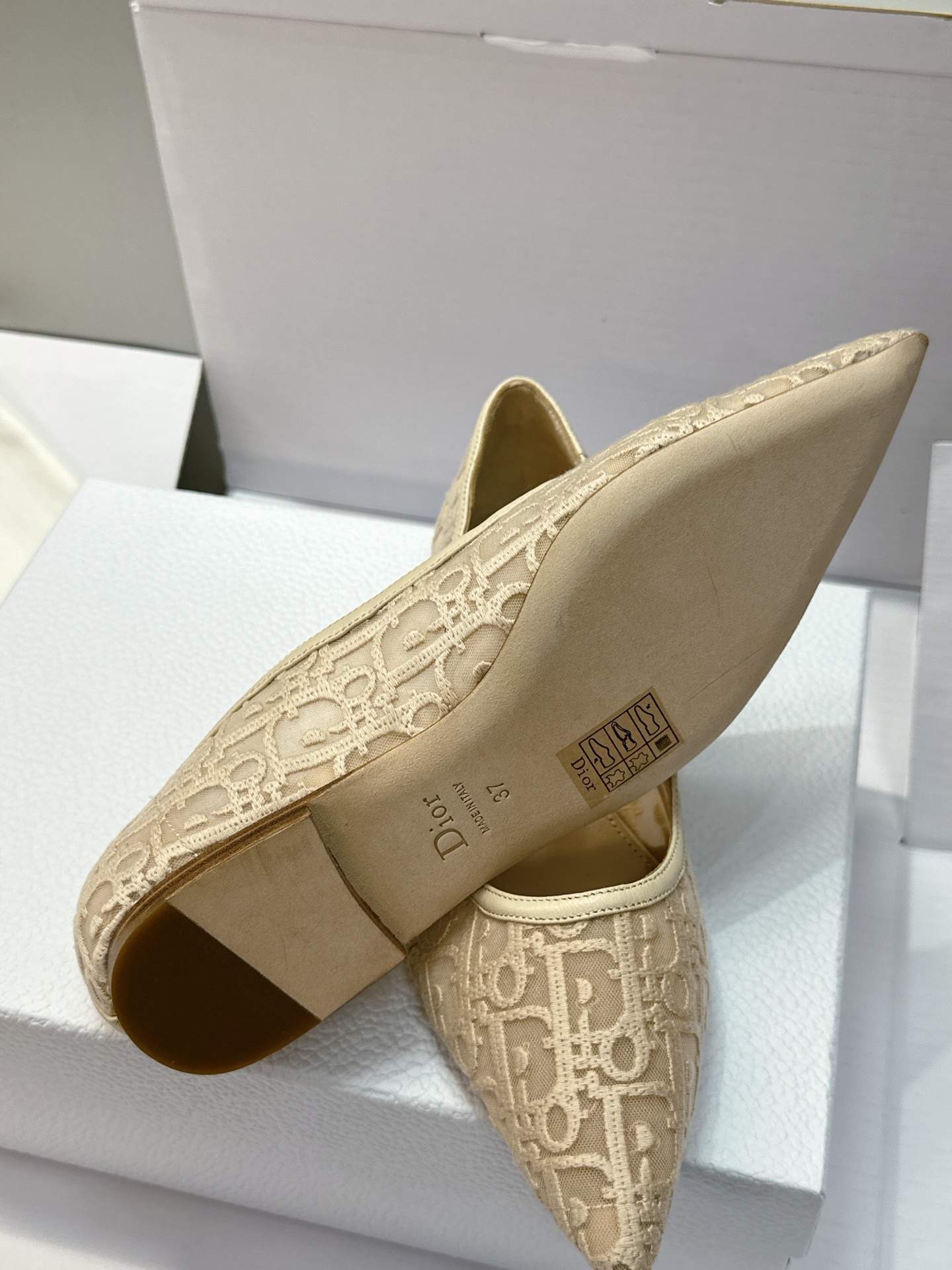 (配全套飞机盒) Dior 迪奥 2026春夏走秀新款Adiorble高跟尖头女鞋 CD明星同款时尚电绣字母logo平底 (配全套飞机盒) Dior 迪奥 2026春夏走秀新款Adiorble高跟尖头女鞋 CD明星同款时尚电绣字母logo平底