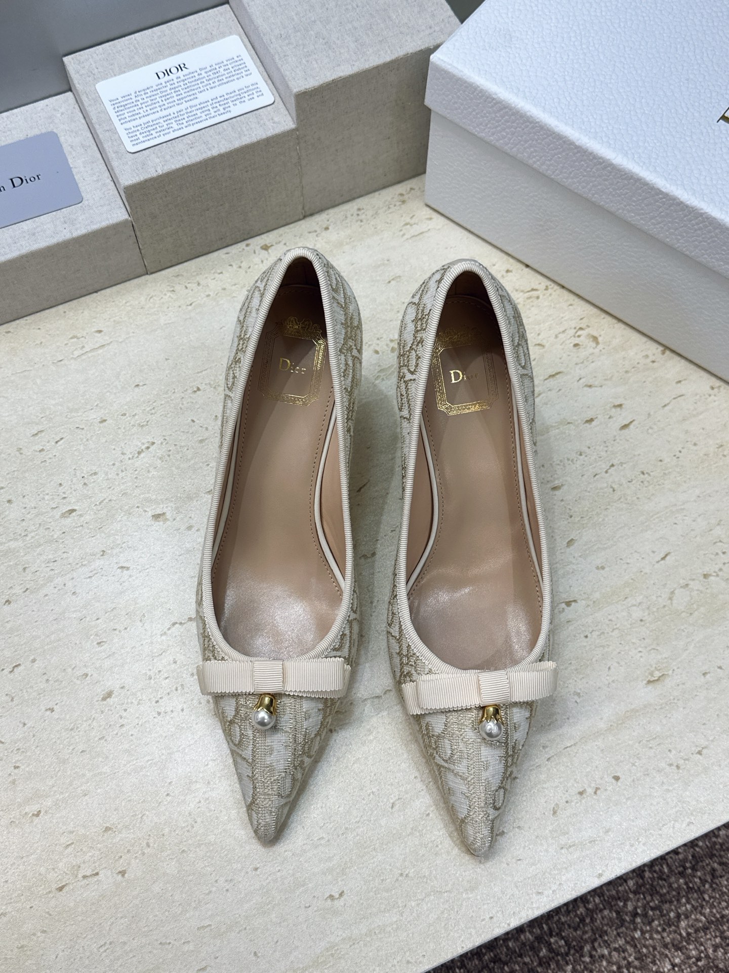 迪奥 Dior 2026春夏高定系列新款 D-Ramour 标志性Oblique电绣老花面高跟尖头女鞋 CD字母logo