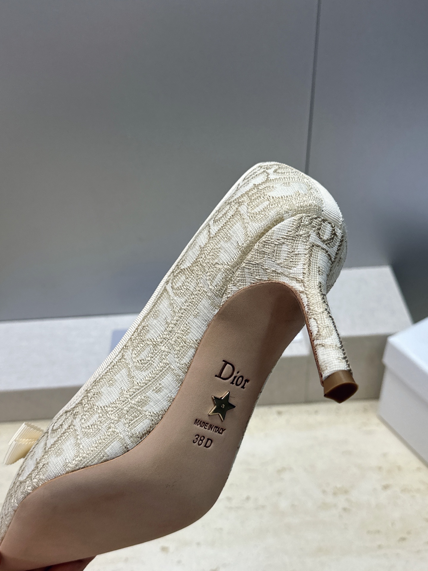 迪奥 Dior 2026春夏高定系列新款 D-Ramour 标志性Oblique电绣老花面高跟尖头女鞋 CD字母logo