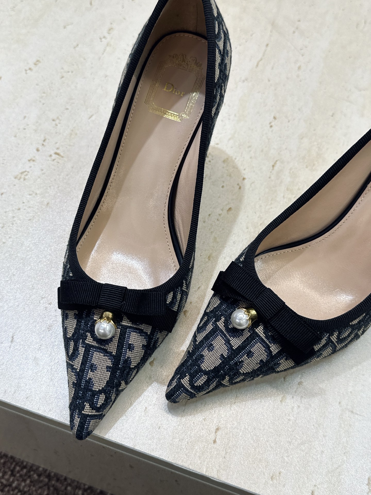 迪奥 Dior 2026春夏高定系列新款 D-Ramour 标志性Oblique电绣老花面高跟尖头女鞋 CD字母logo