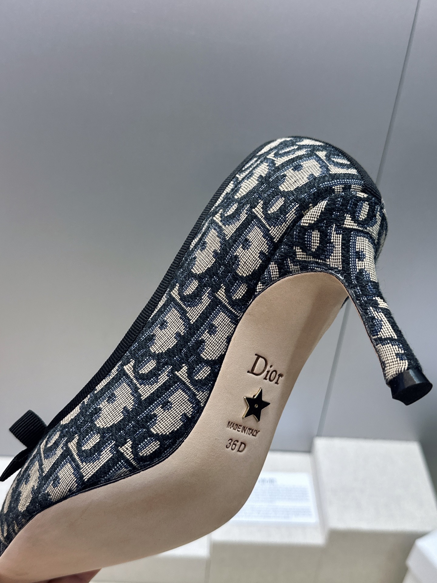 迪奥 Dior 2026春夏高定系列新款 D-Ramour 标志性Oblique电绣老花面高跟尖头女鞋 CD字母logo