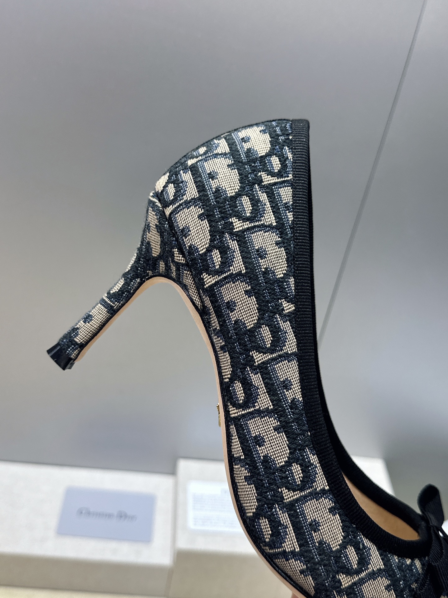 迪奥 Dior 2026春夏高定系列新款 D-Ramour 标志性Oblique电绣老花面高跟尖头女鞋 CD字母logo
