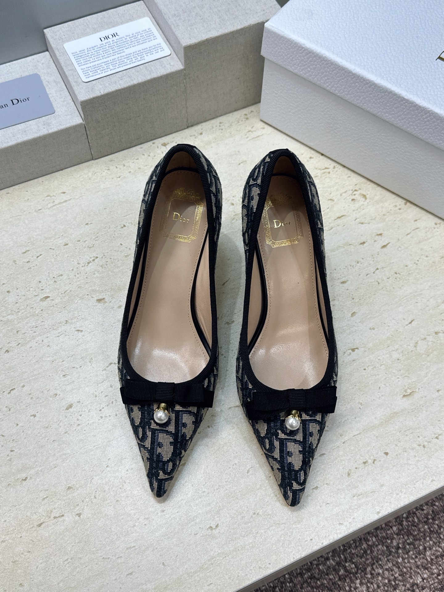 迪奥 Dior 2026春夏高定系列新款 D-Ramour 标志性Oblique电绣老花面高跟尖头女鞋 CD字母logo