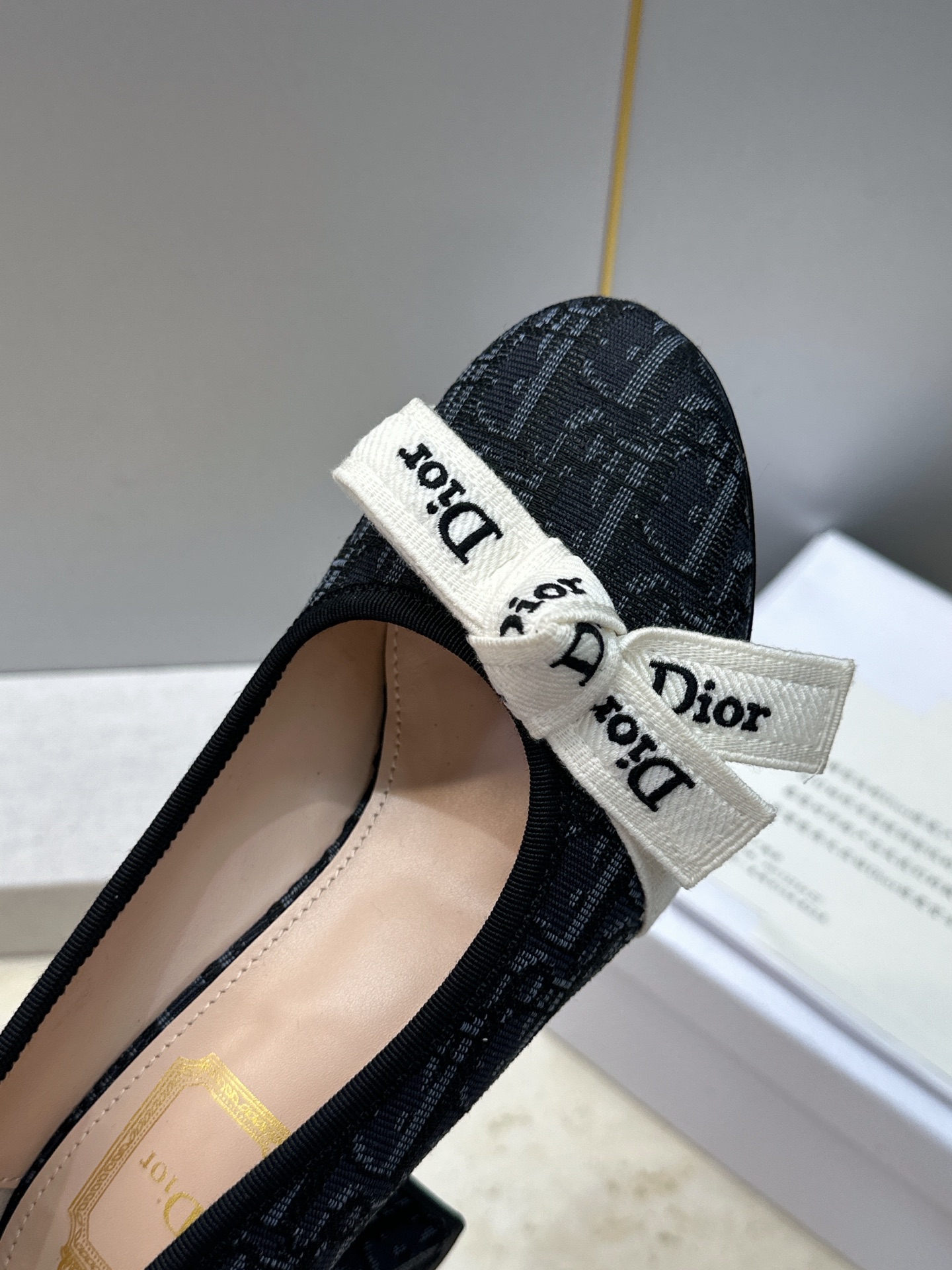 J'ADIOR 迪奥 Dior 2026 早春新款蝴蝶结粗跟芭蕾舞娃娃女鞋  明星同款CD字母logo立体刺绣高跟圆头玛