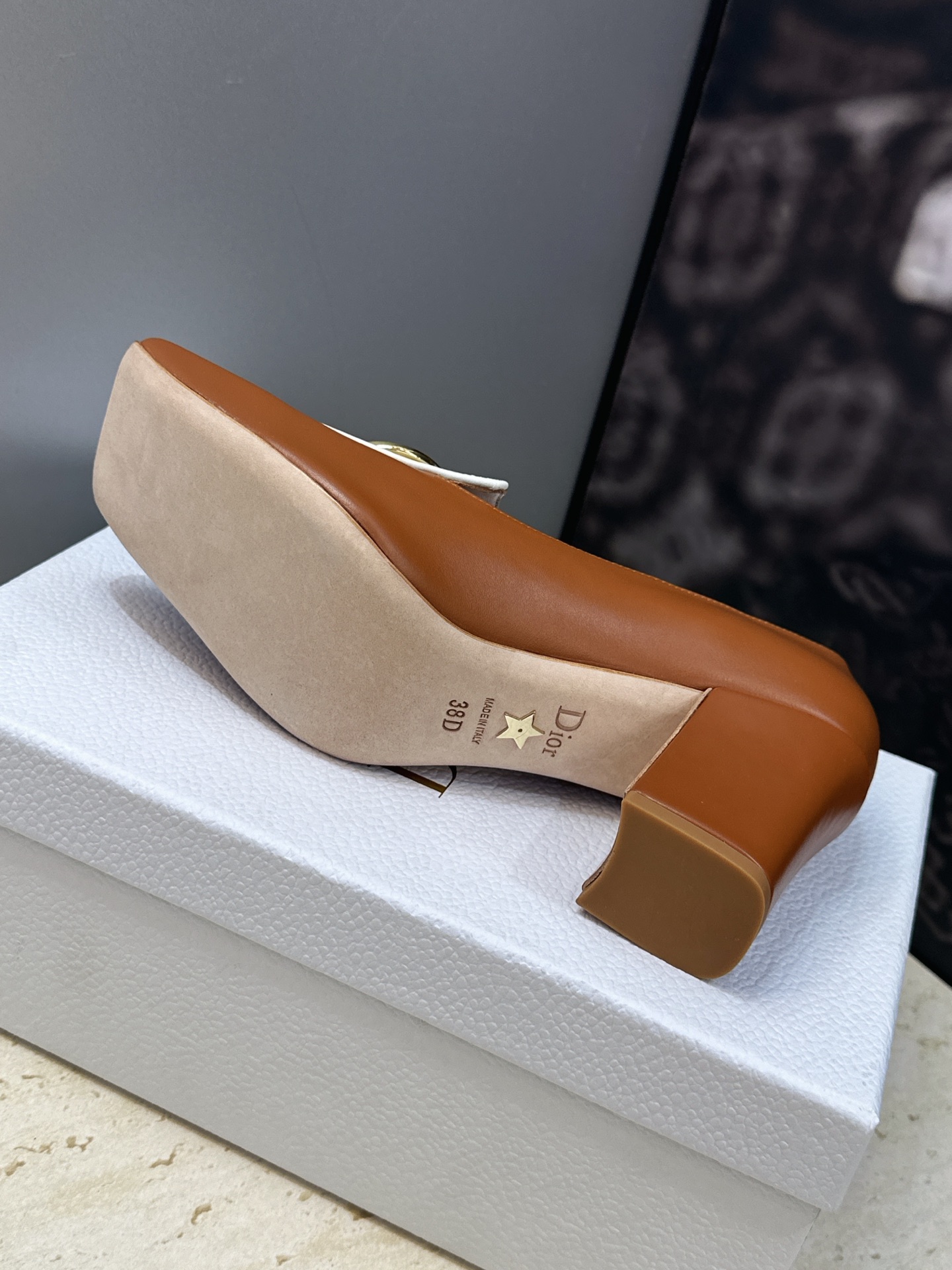 Dior 迪奥2026春夏新款 Medallion粗跟方头玛丽珍芭蕾舞娃娃女鞋 CD字母logo五金扣时尚高跟拼色休闲乐