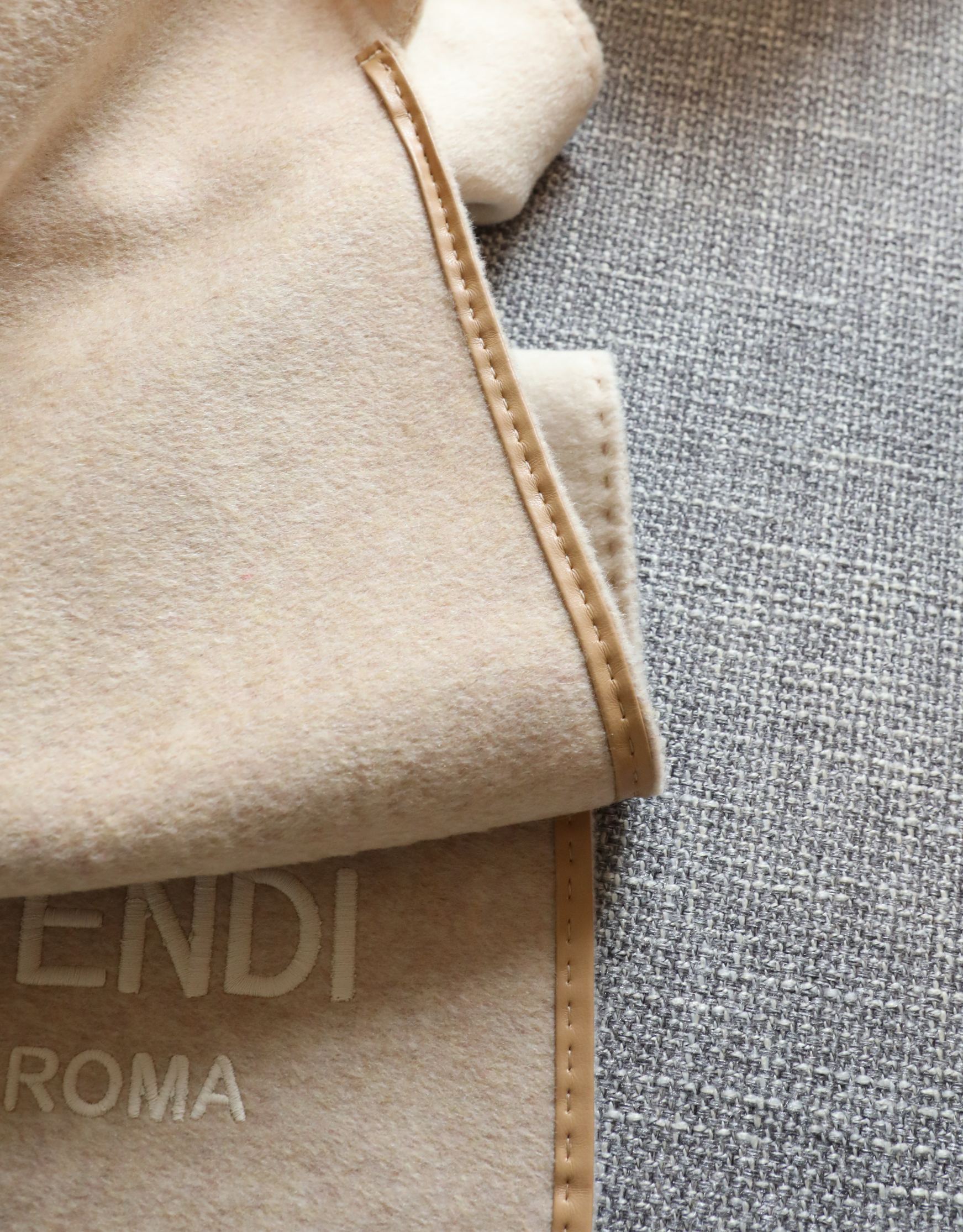 [Fendi Scarves]