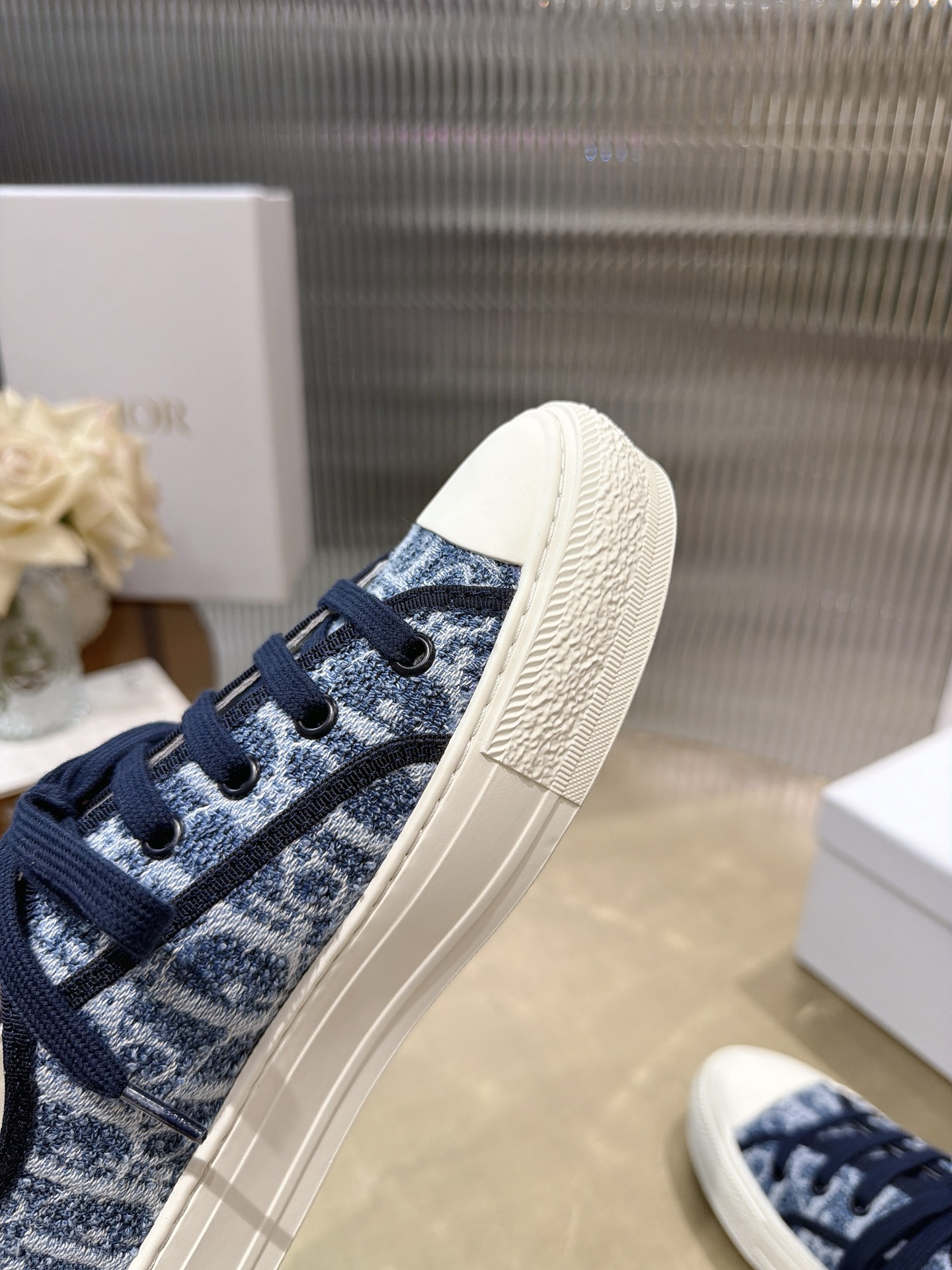 Dior Oblique Canvas Shoes