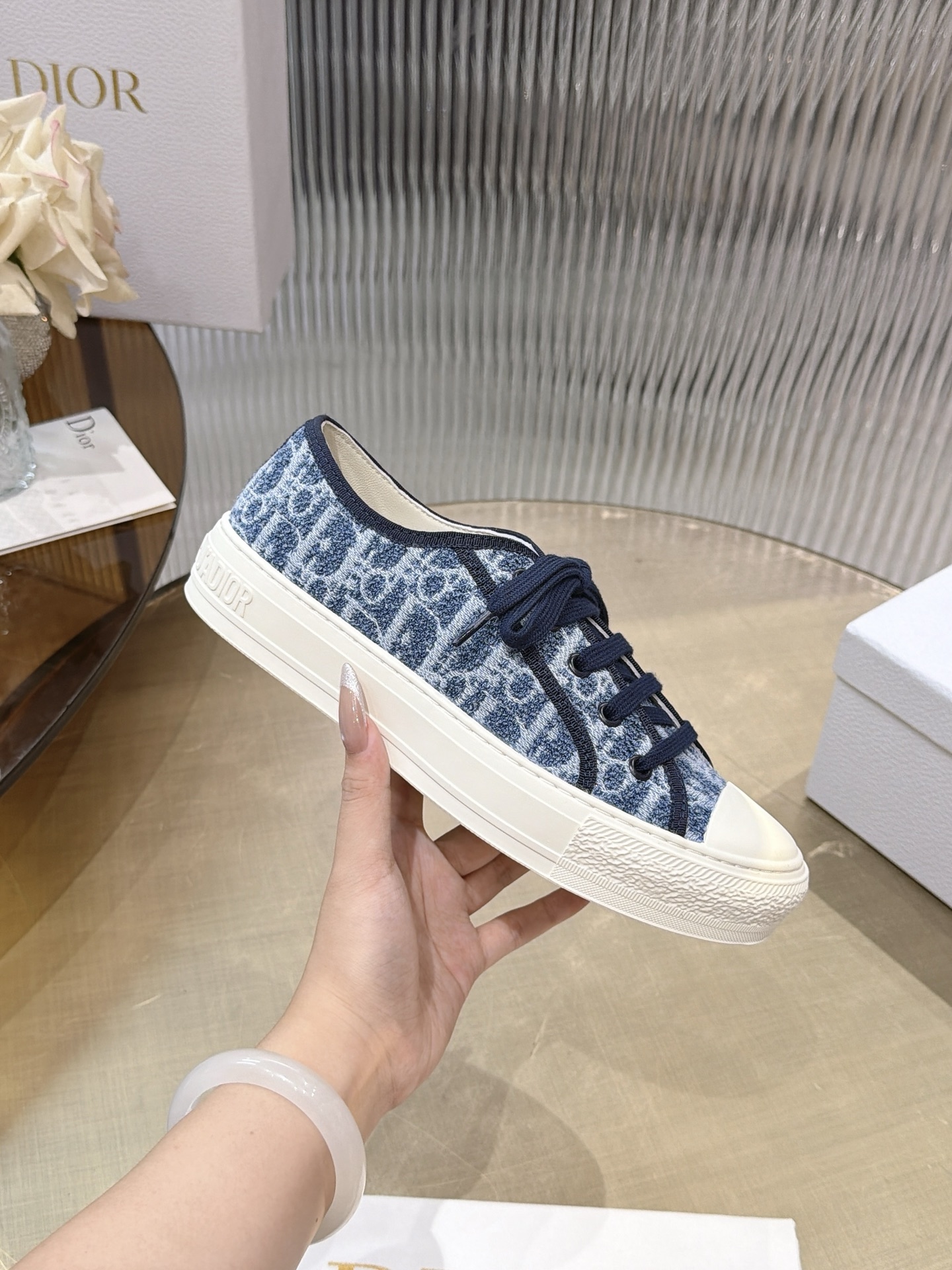 Dior Oblique Canvas Shoes