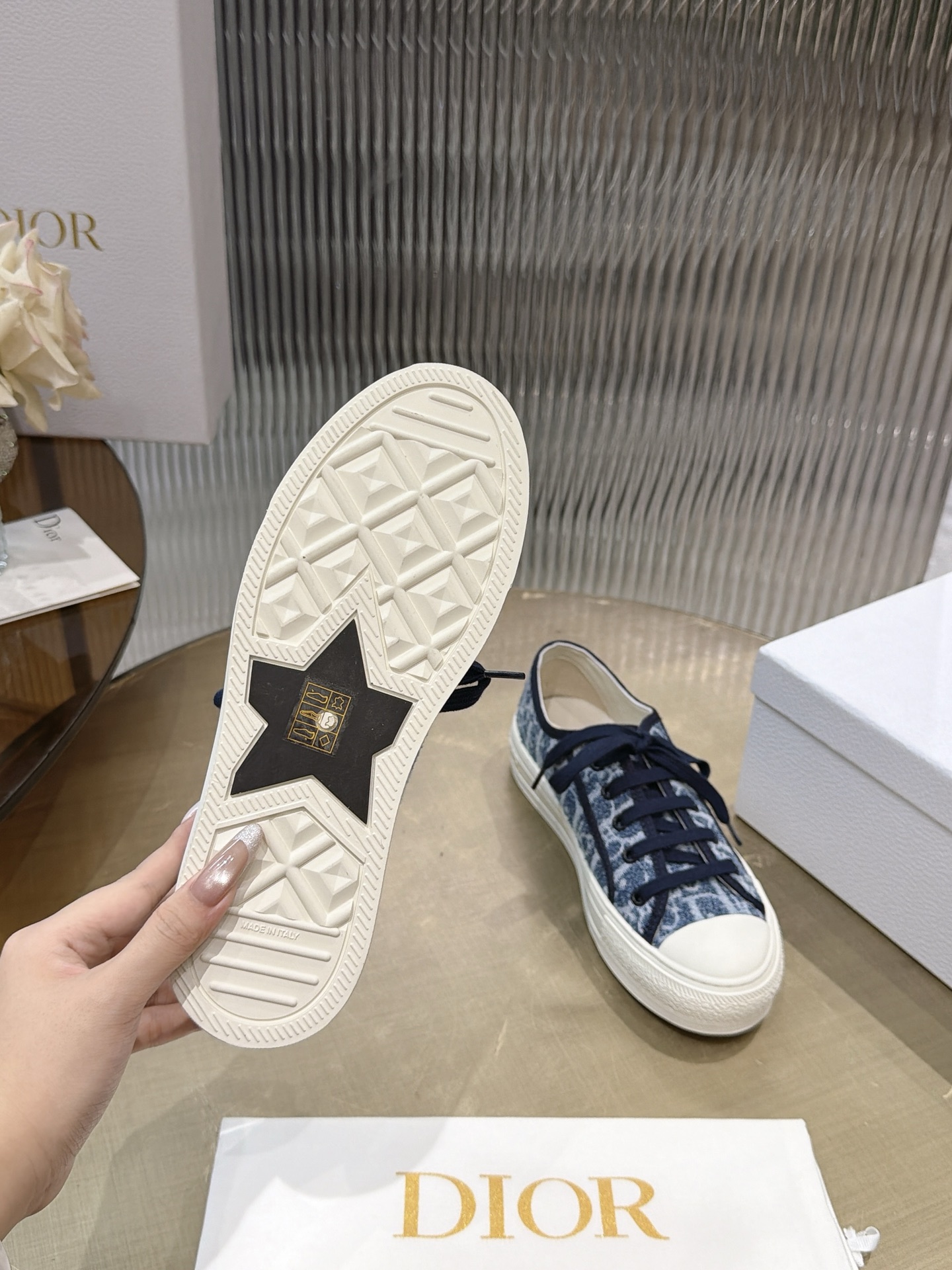 Dior Oblique Canvas Shoes