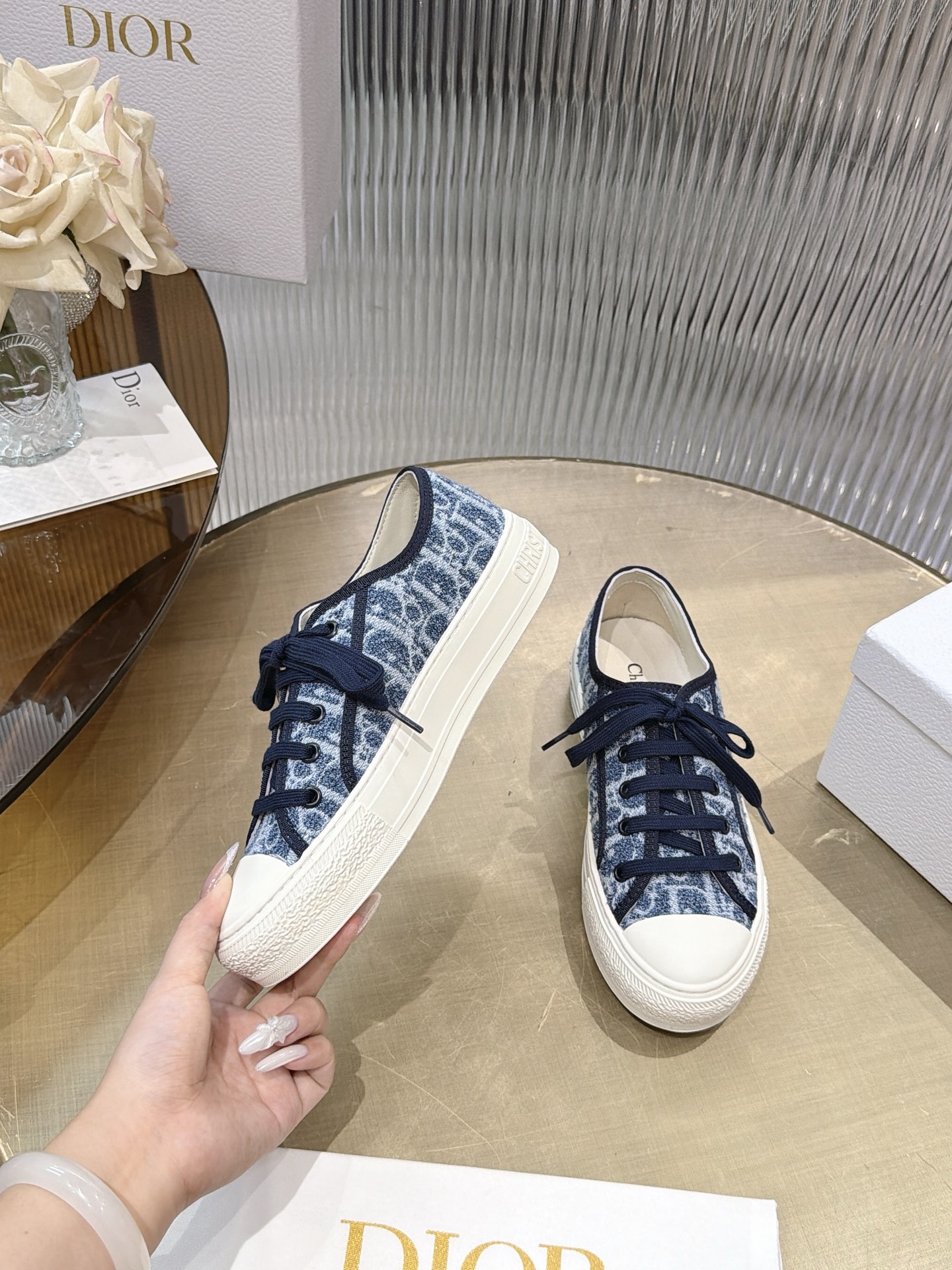 Dior Oblique Canvas Shoes