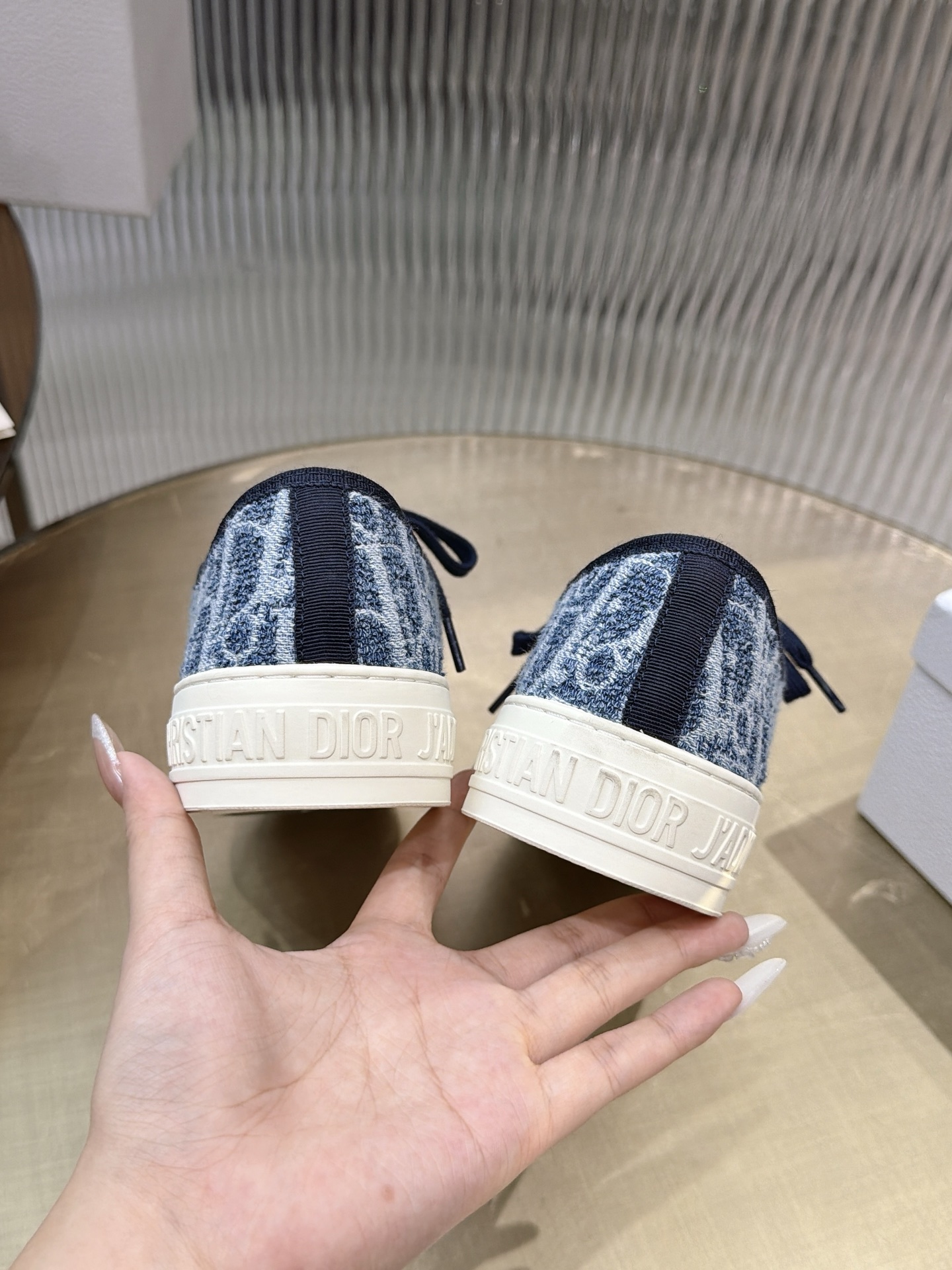 Dior Oblique Canvas Shoes