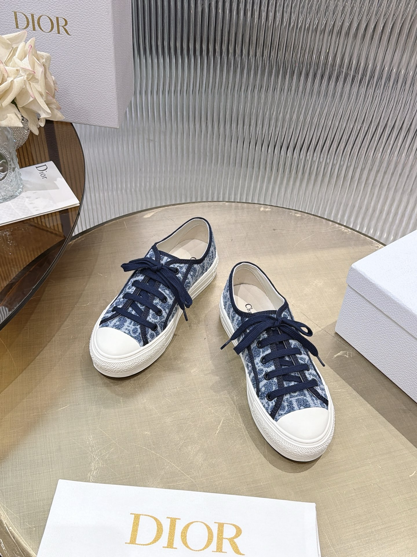 Dior Oblique Canvas Shoes