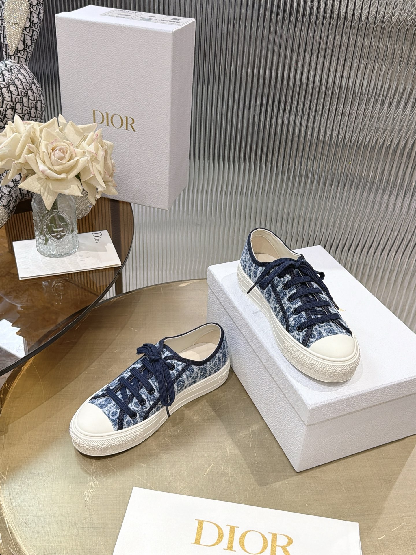 Dior Oblique Canvas Shoes