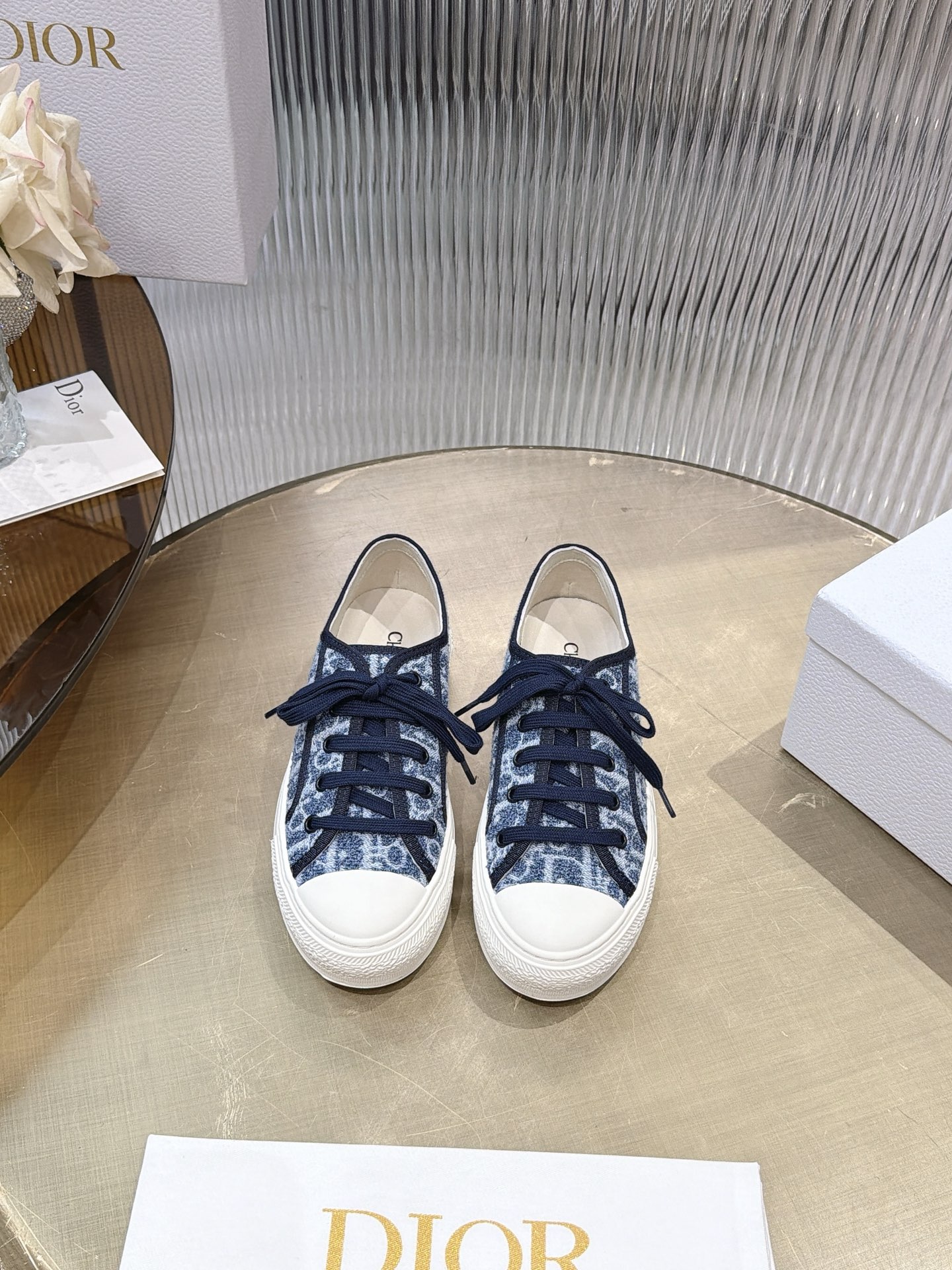 Dior Oblique Canvas Shoes