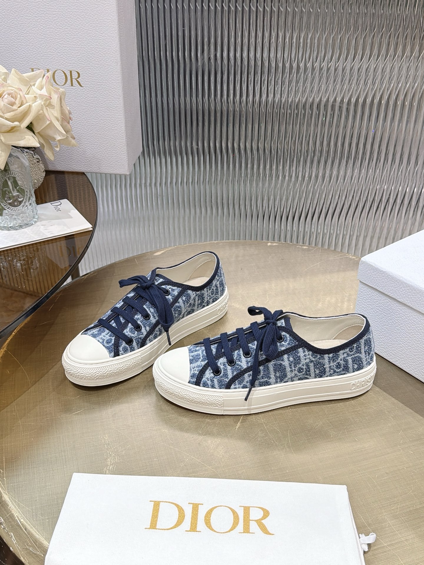 Dior Oblique Canvas Shoes