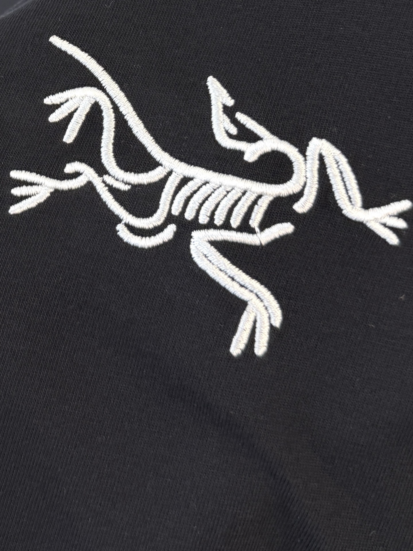 Arc'teryx Long Sleeve T-Shirt - Comfortable, Breathable, and Stylish 6 i1760292652194 8030 0 4